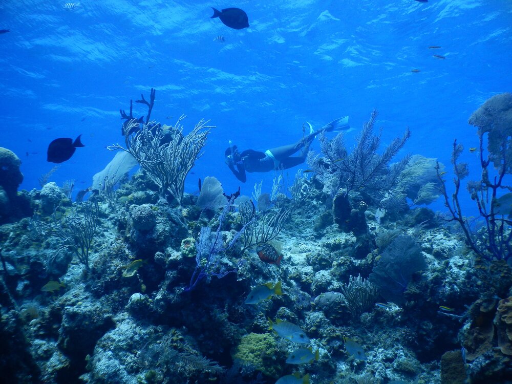 Me snorkeling at Cathedral reef in South Eleuthera, The Bahamas