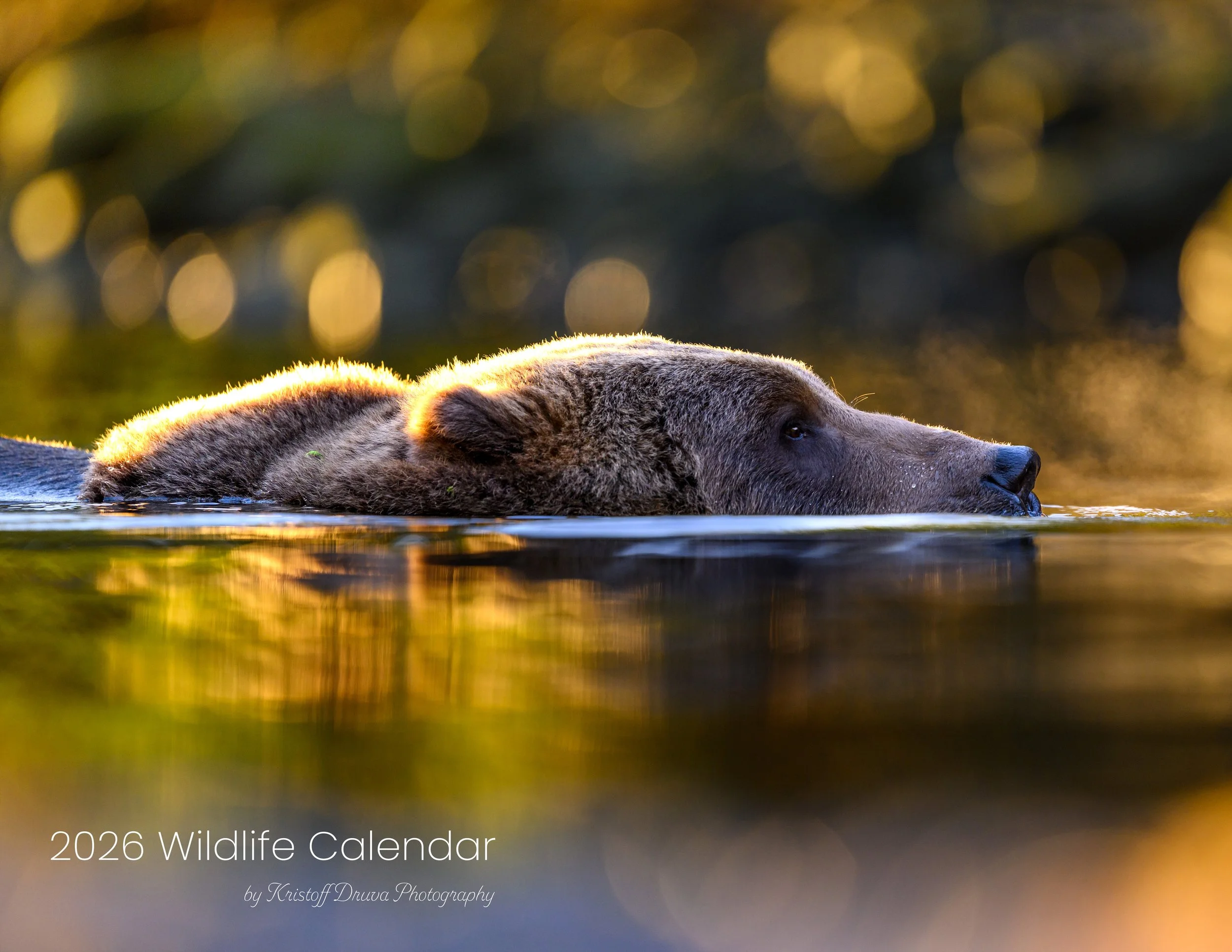2026 Wildlife Calendar