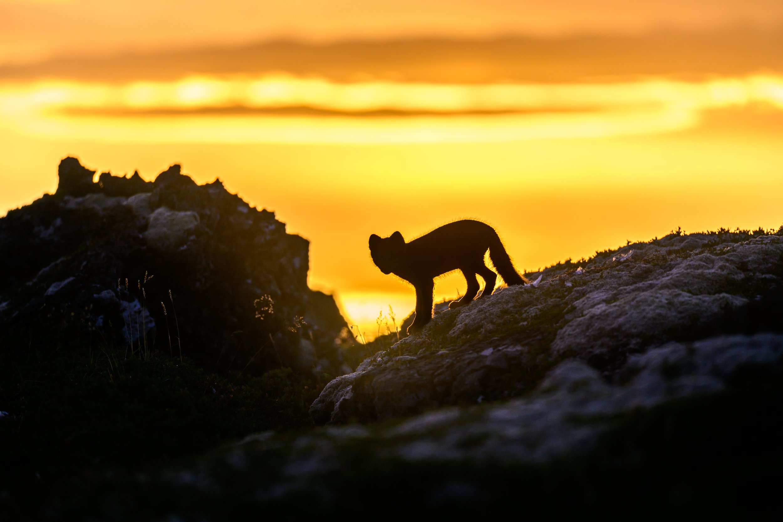 20260729-Z91_1846.jpg