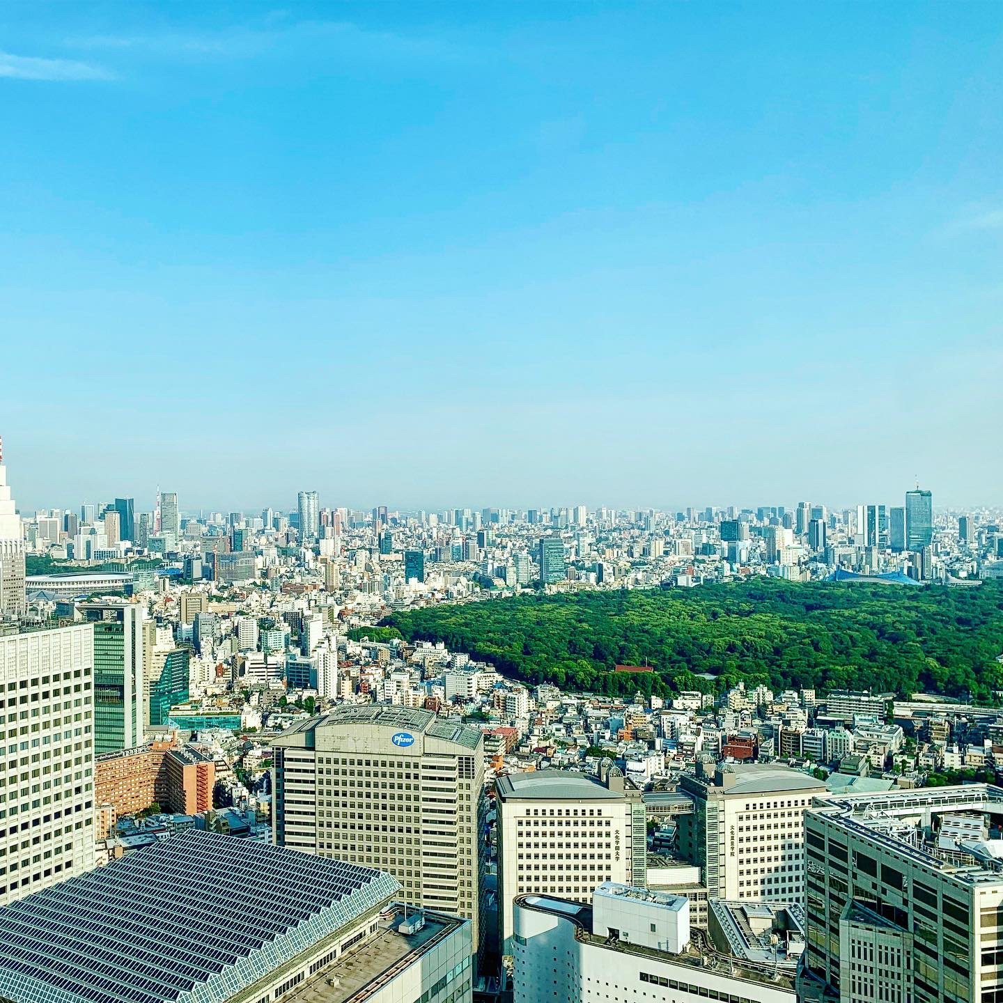 Tokyo-Shinjuku-1.JPG