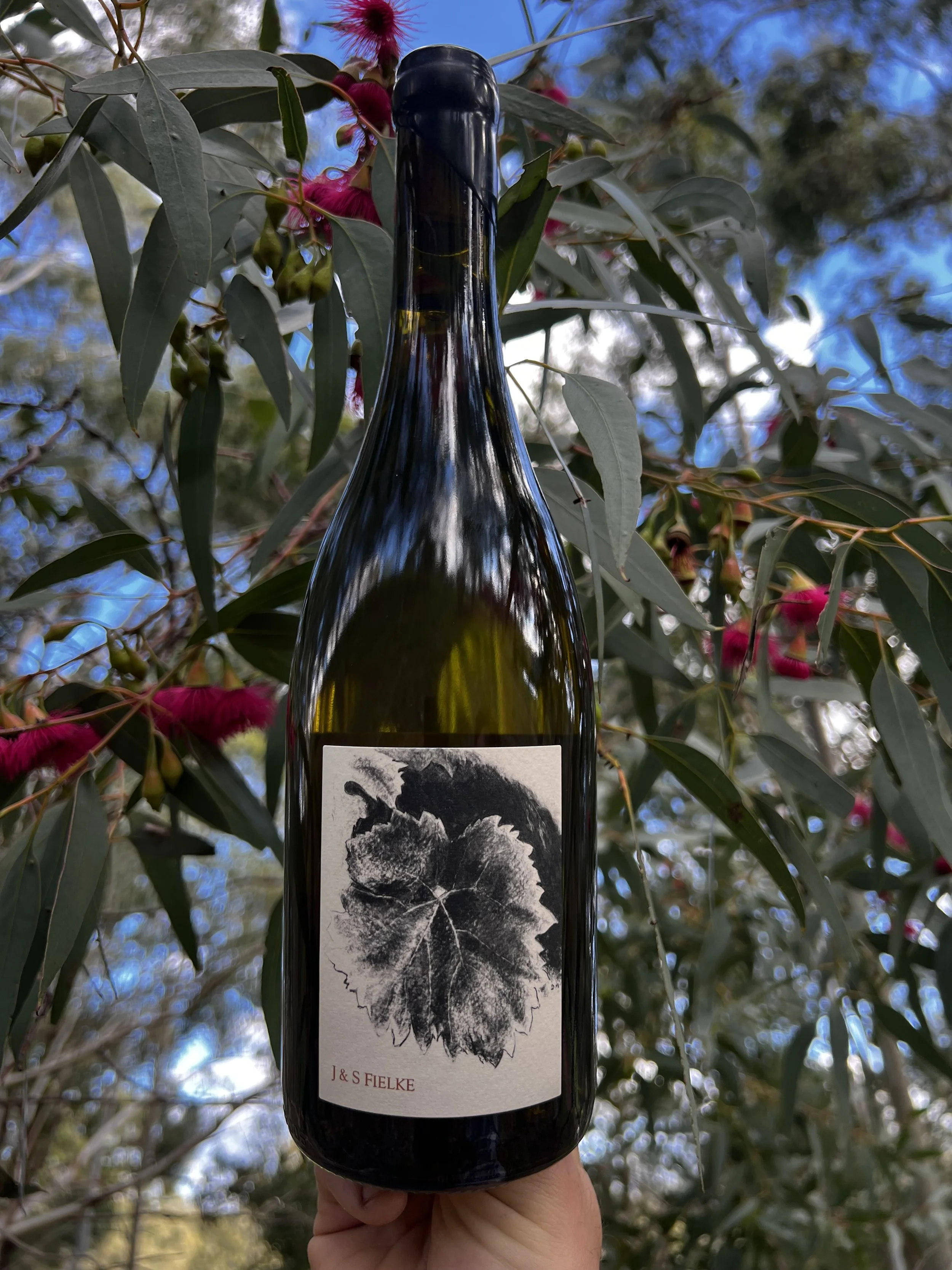 2025 Piccadilly Valley Chardonnay