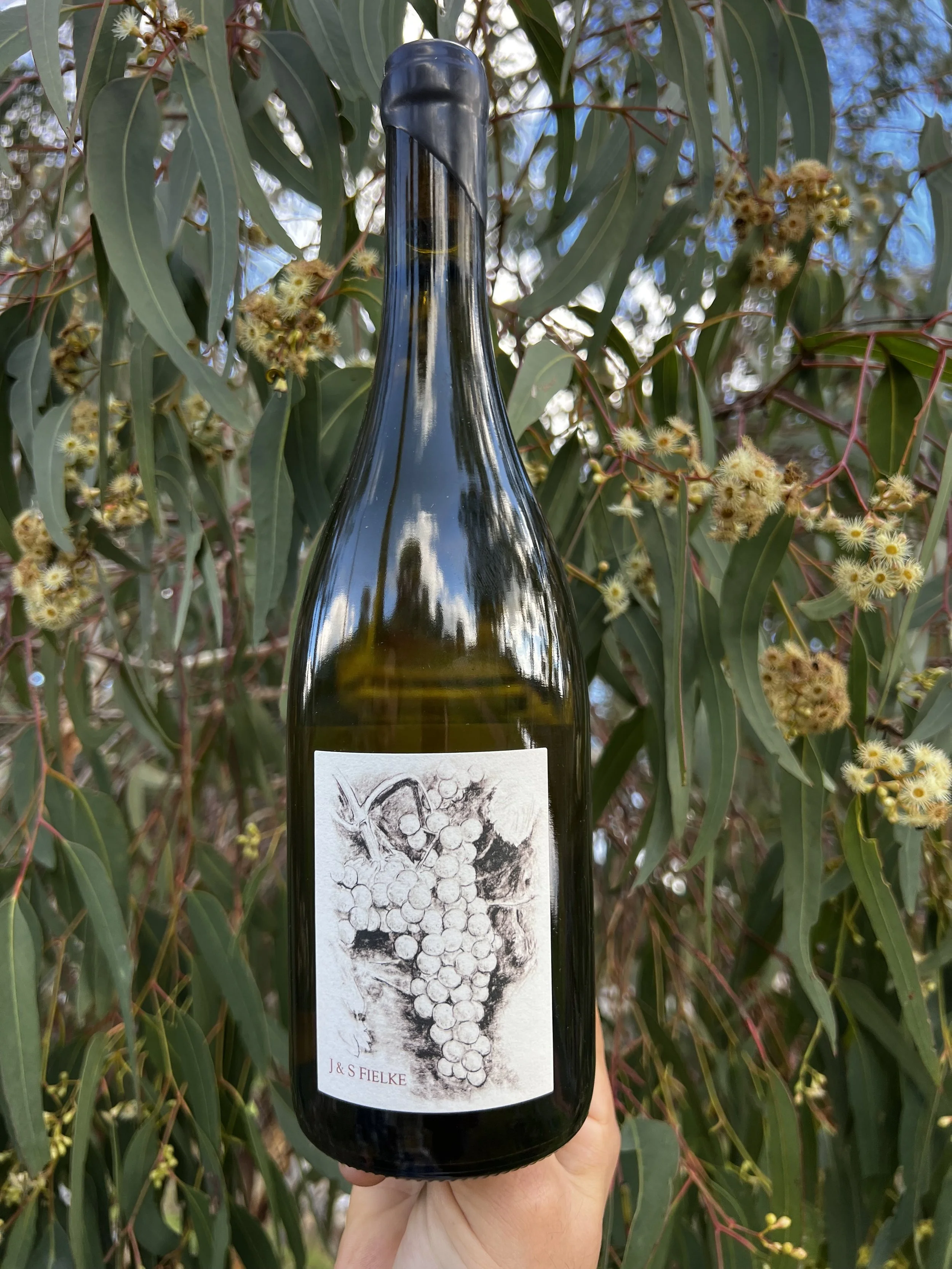 2026 Onkaparinga Valley Fiano