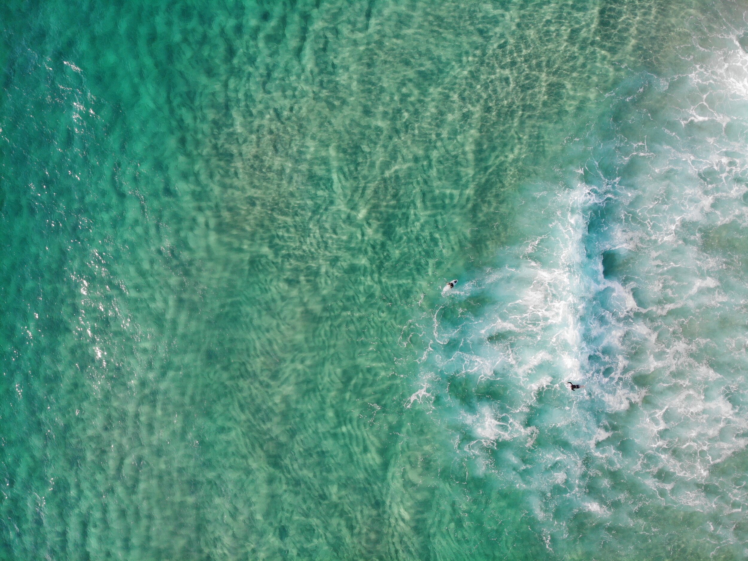 Lonely Pair Central NSW coastline - Gronsky Photography