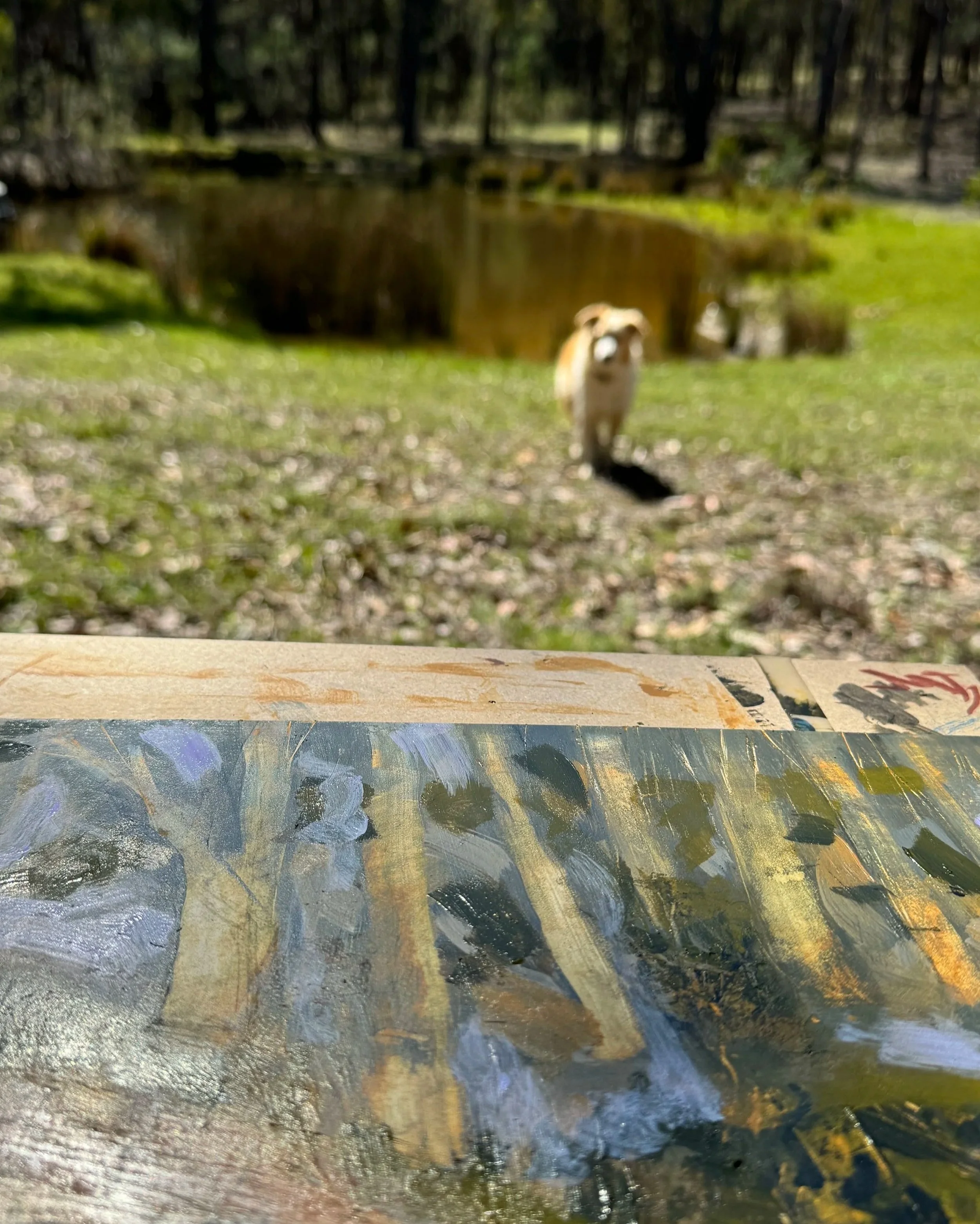 Samantha Moses contemporary landscape painter painting outdoors by the dam.
