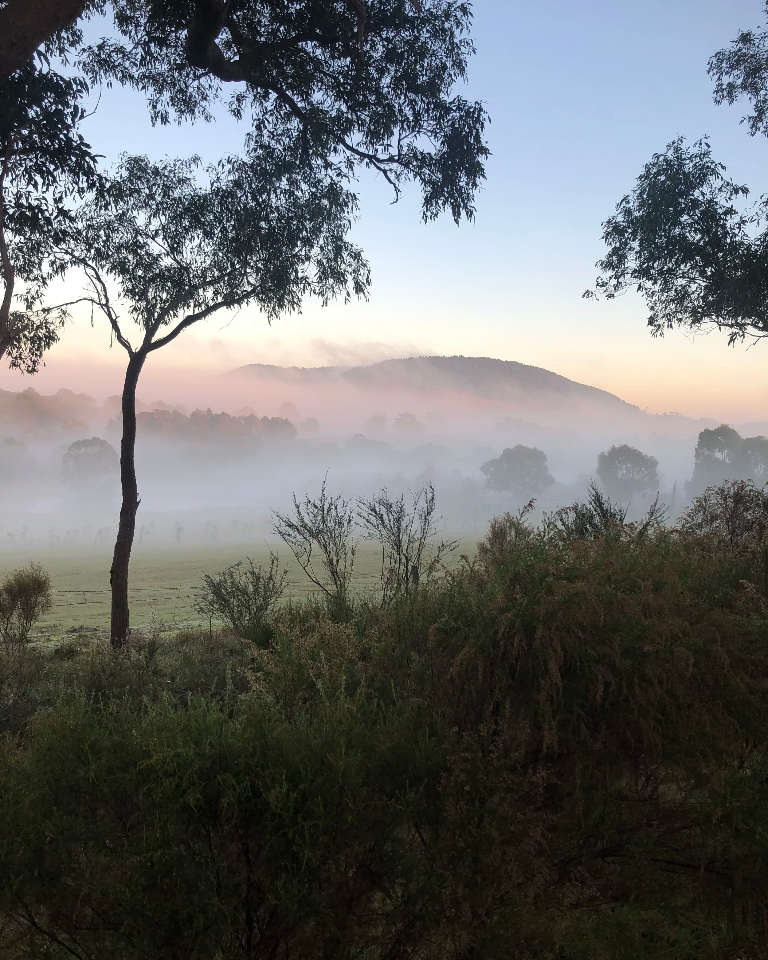 Early morning misty view of Mount Franklin.