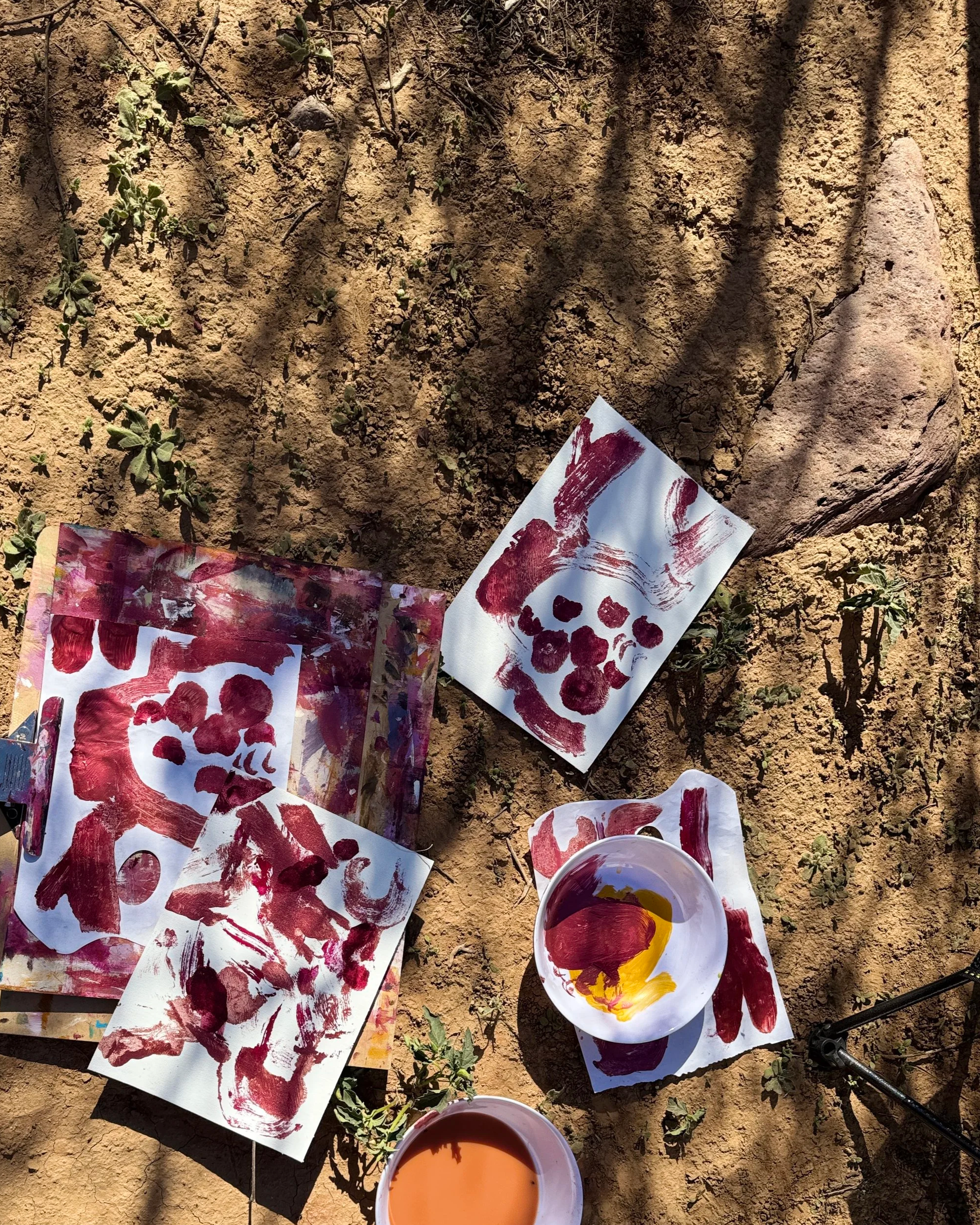 Quick paper studies painted on a field trip to Arkaroola.