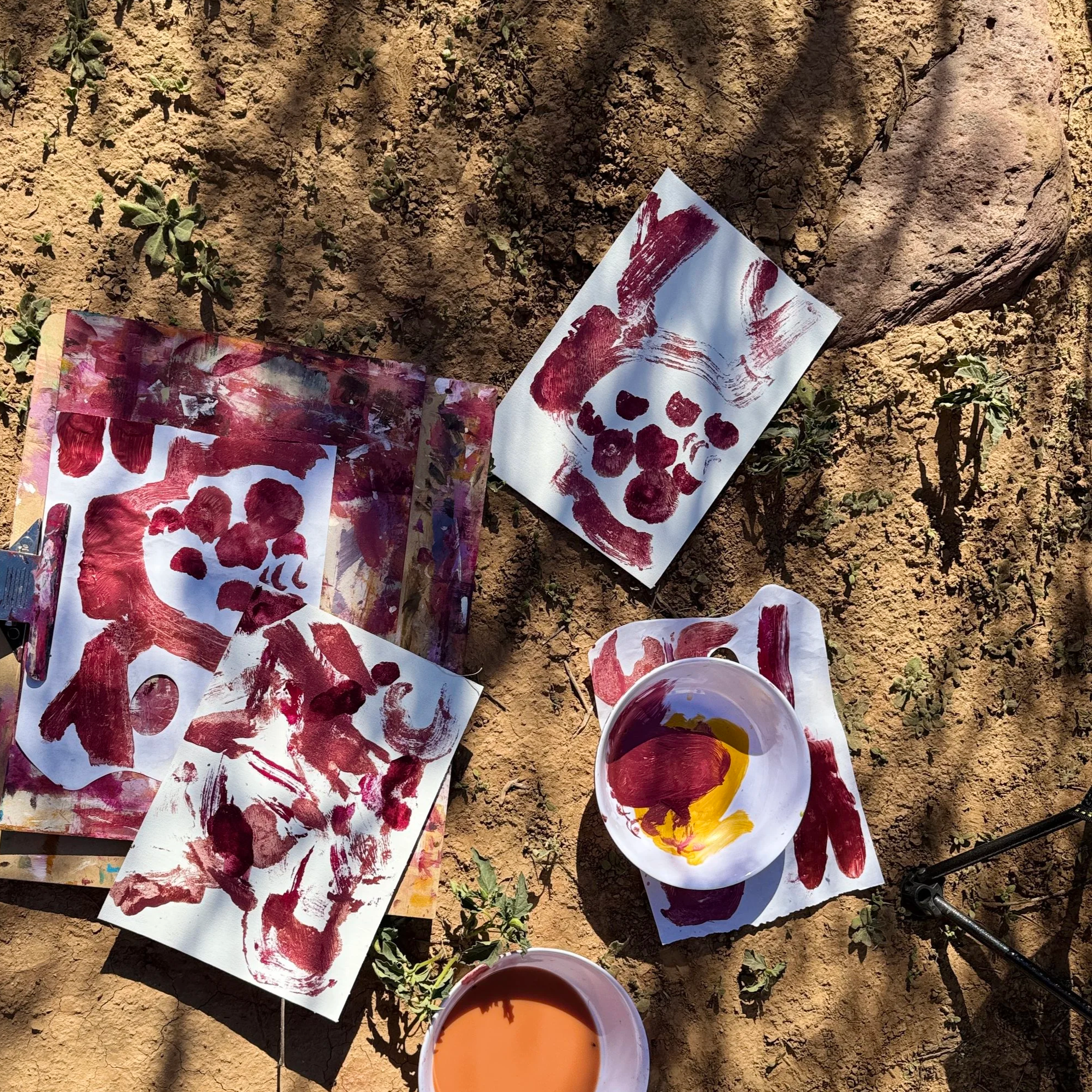 Let’s Go: A Road Trip to Arkaroola