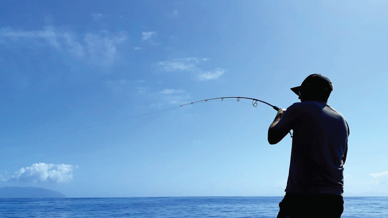 Fishing Charters Auckland — Ultimate Charters