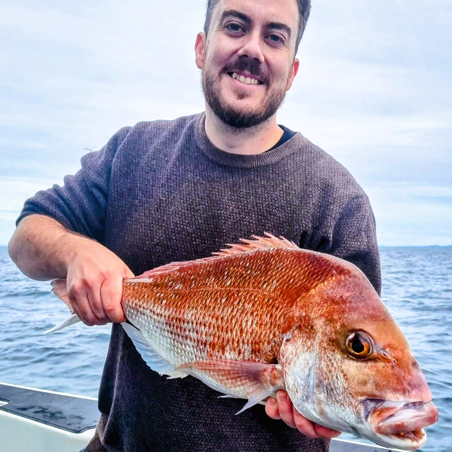 Pannie sized twins for the table. Curried with rice in wraps? Or maybe Mexican fish taco's? Beautiful eating fish whatever your favourite dish

@okuma_nz 

#ultimatechartersnewzealand #ultimatecharters #fishingcharters #lurefishing #pannies #snapper 