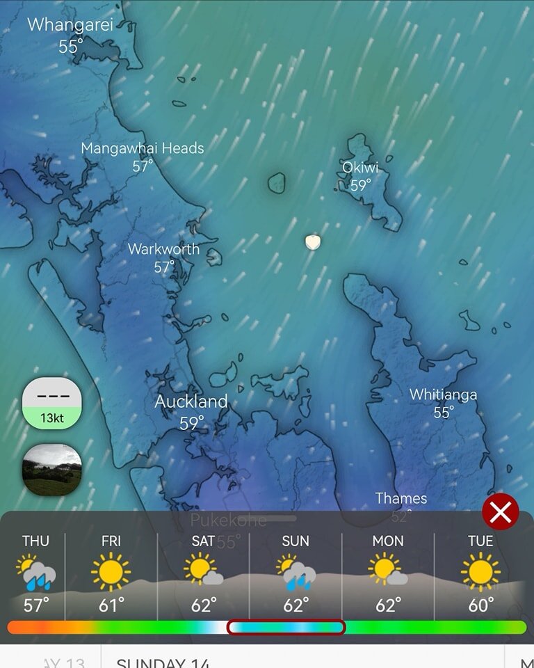 Finally a weekend with some solid boating conditions coming up 🥳

Touch base if you are gagging to get back out for a fish, we currently have 3 seats available on a shared offshore charter this Sunday. More info here: www.ultimatecharters.co.nz/shar