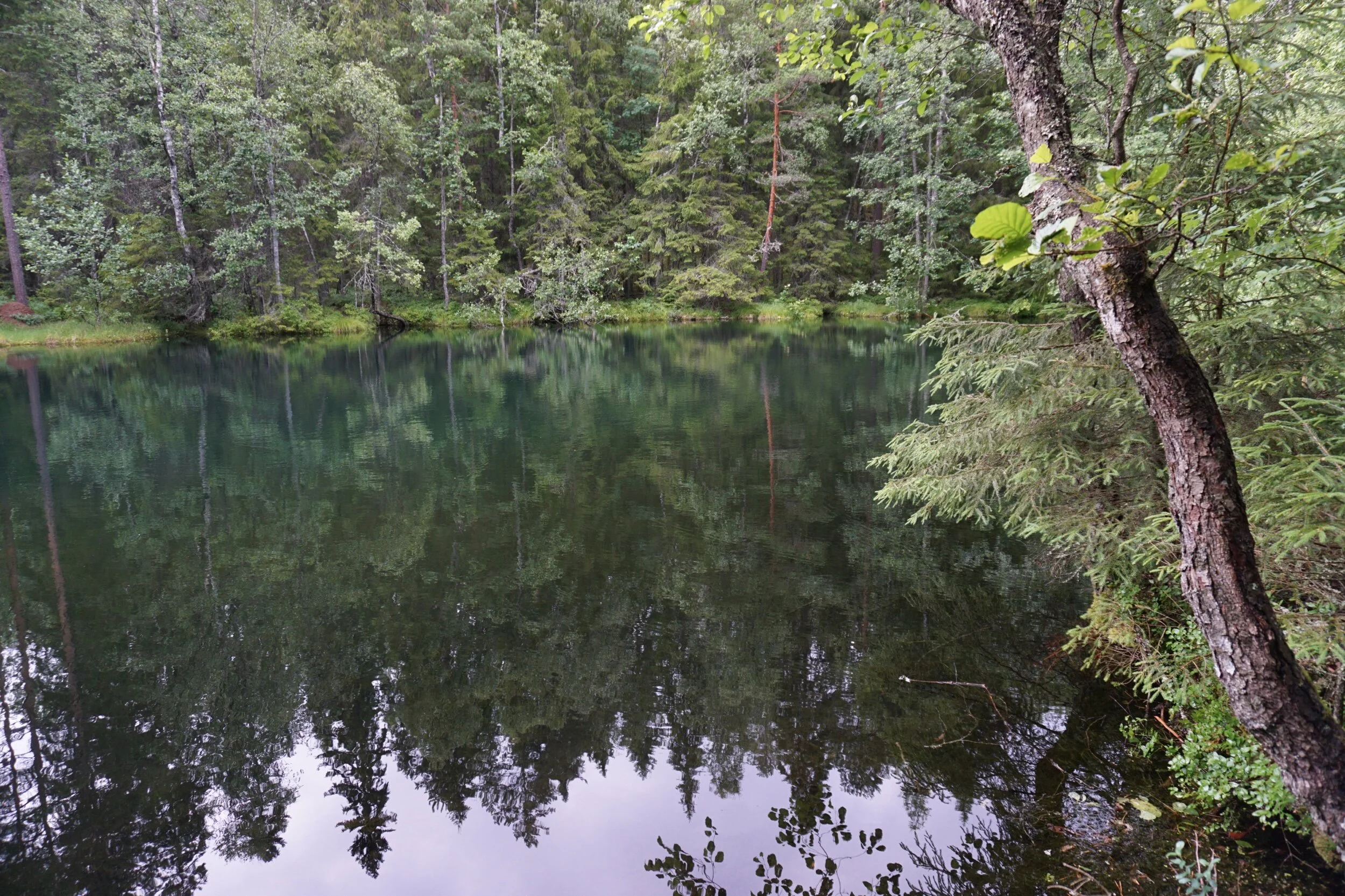 DSC08244.jpeg