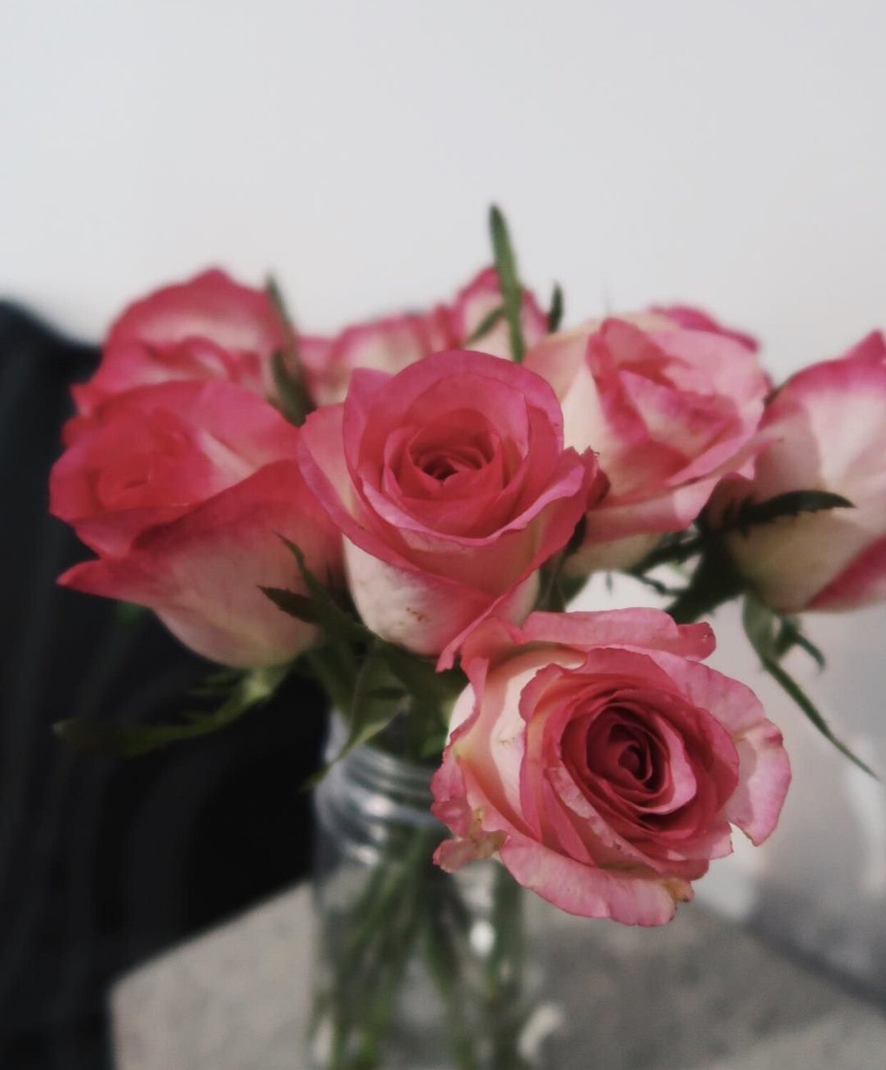 Shalee The Thought Chapter Non Traditional Ways To Make Money.PNG