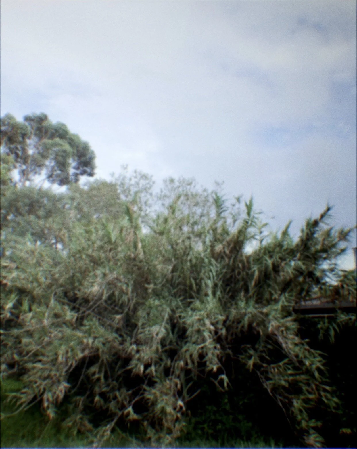 Exploring the World Differently with Randonauting