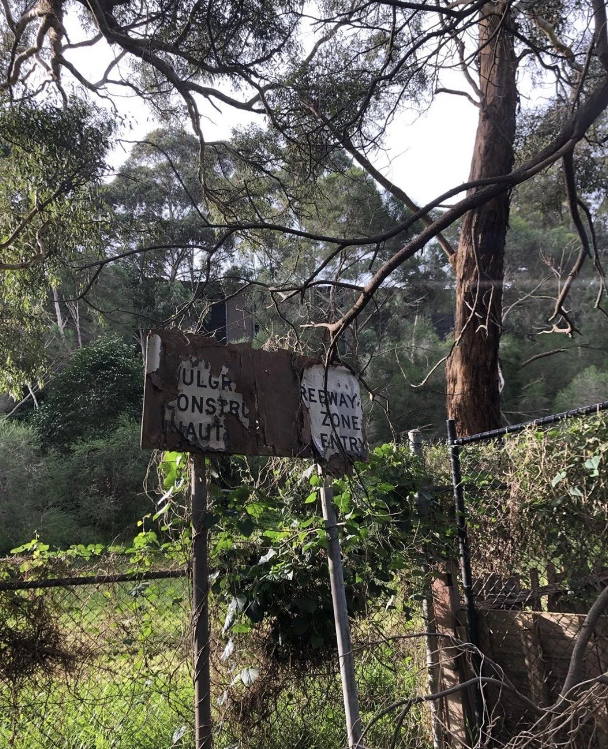 Shalee Rae The Thought Chapter Randonautica.jpg