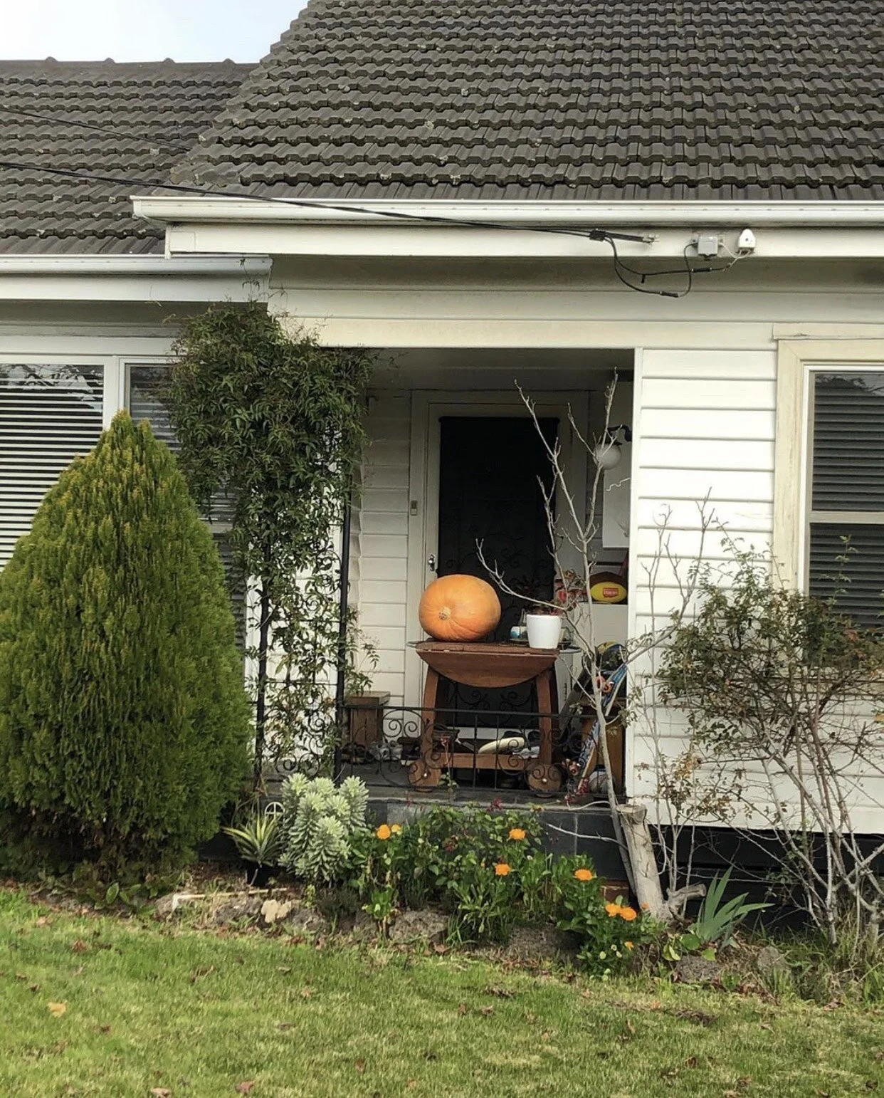 Shalee Moschetti The Thought Chapter Randonautica.jpg