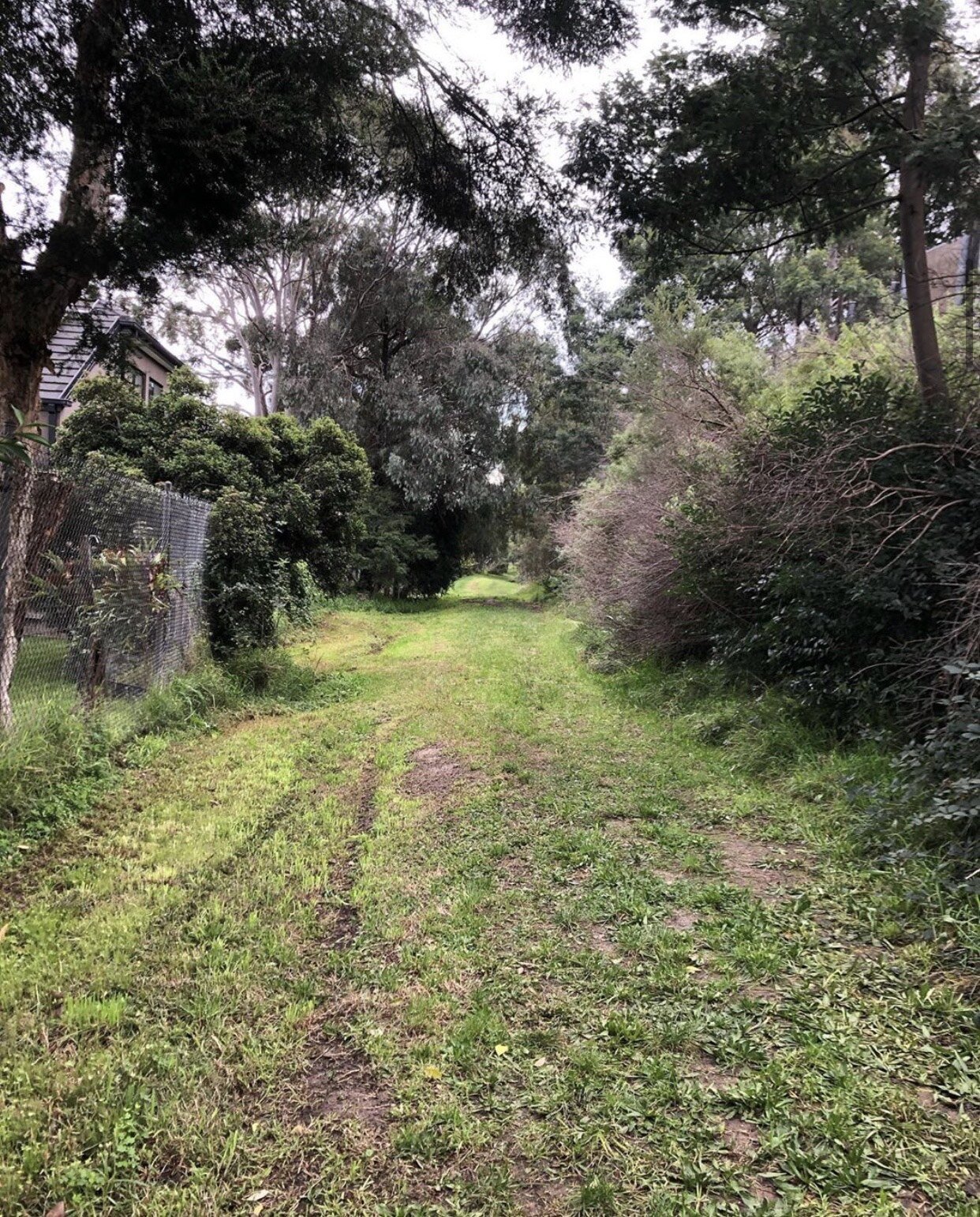 Shalee Moschetti The Thought Chapter Randonauting.jpg