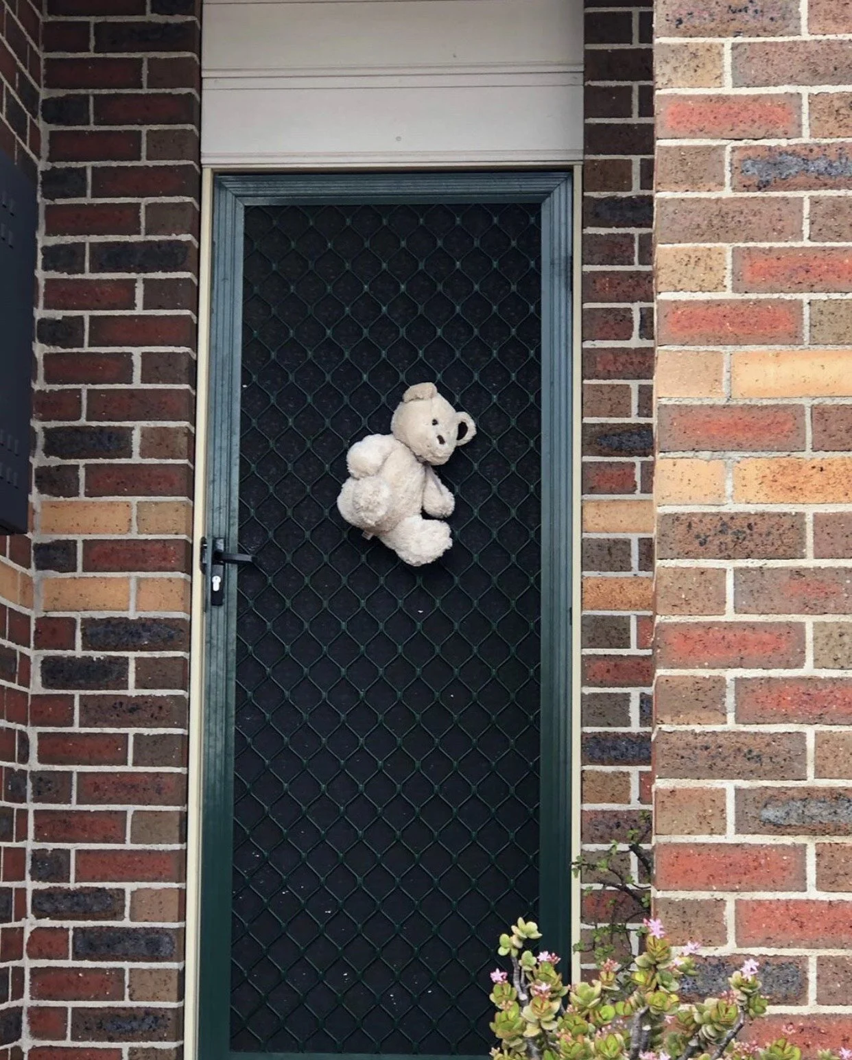 Shalee Rae Moschetti The Thought Chapter Quantum Physics.jpg