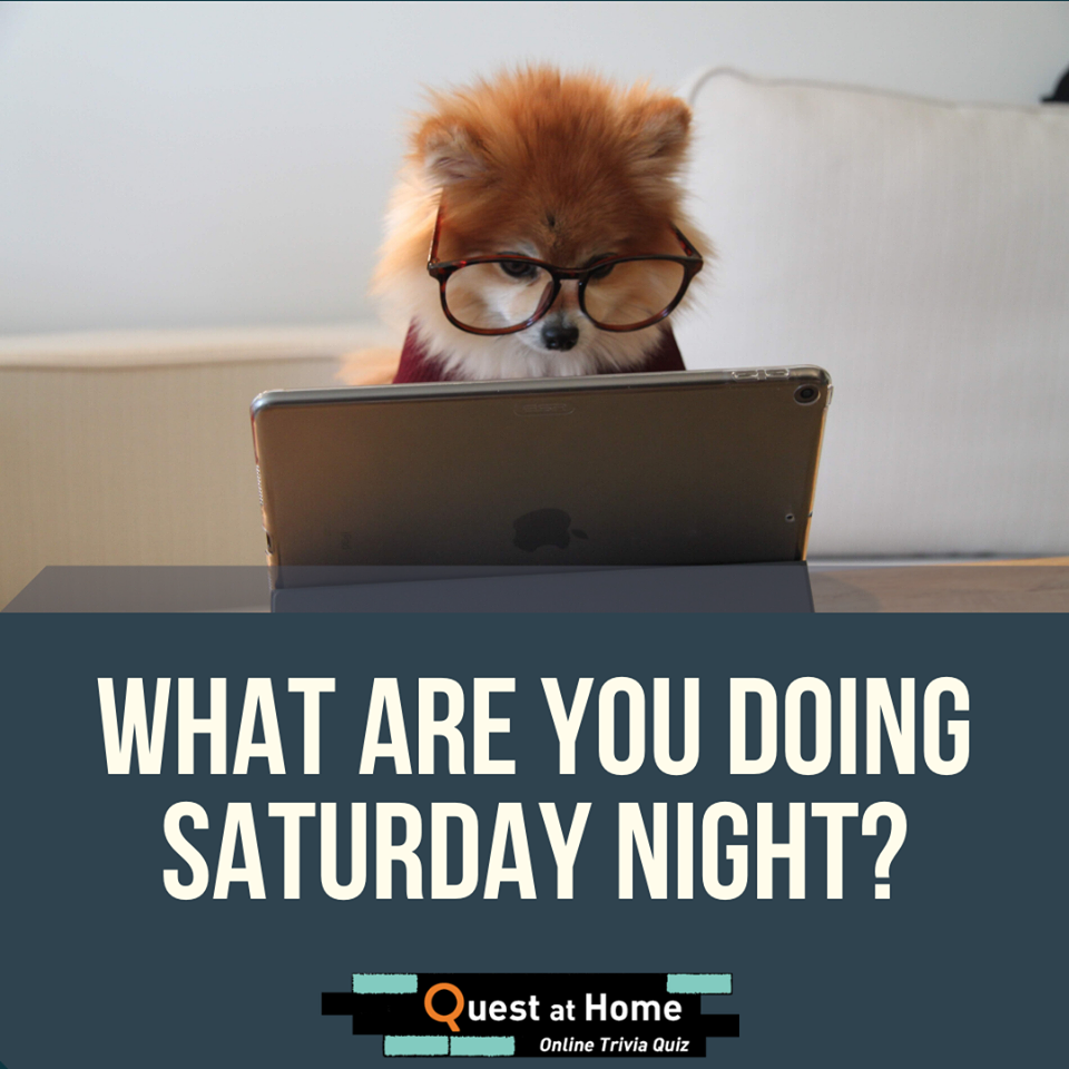 The Thought Chapter with Shalee Rae x City Quest Australia