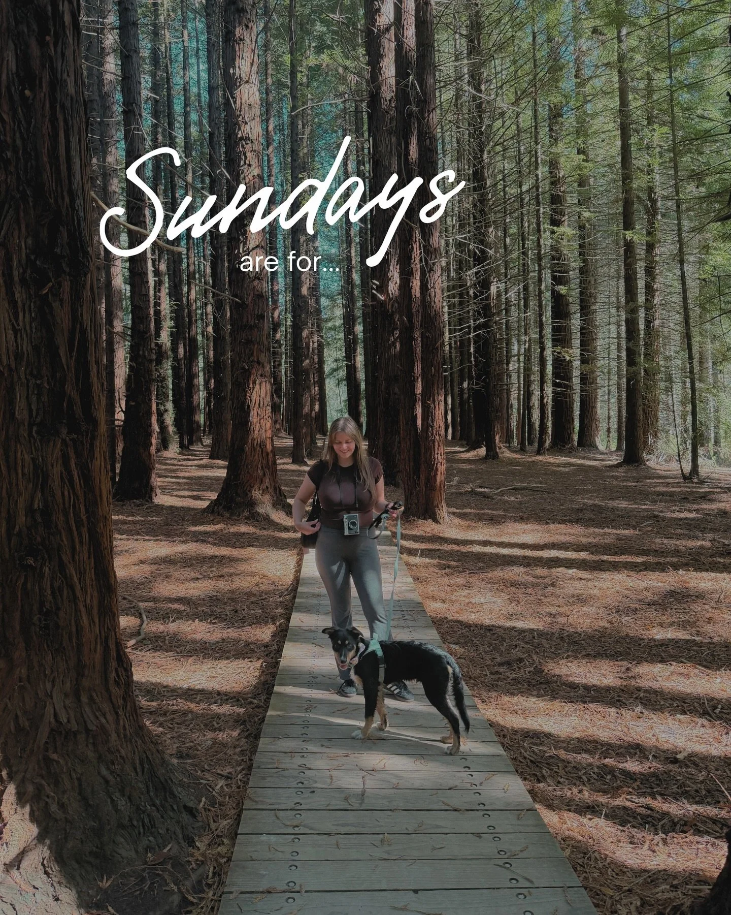 🎀 Sweet Sundays 🎀 

Featuring👇🏼
🍵 @esplanademarket @meowmeow._.matcha 
📍Stevensons Falls, Barramunga VIC 

Need content ideas? 💡 
Feel free to steal our &ldquo;Sundays are for&hellip;&rdquo; themed post &mdash; or better yet, head to the link 