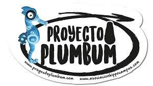 Proyecto Plumbum PlasticBusters.jpeg