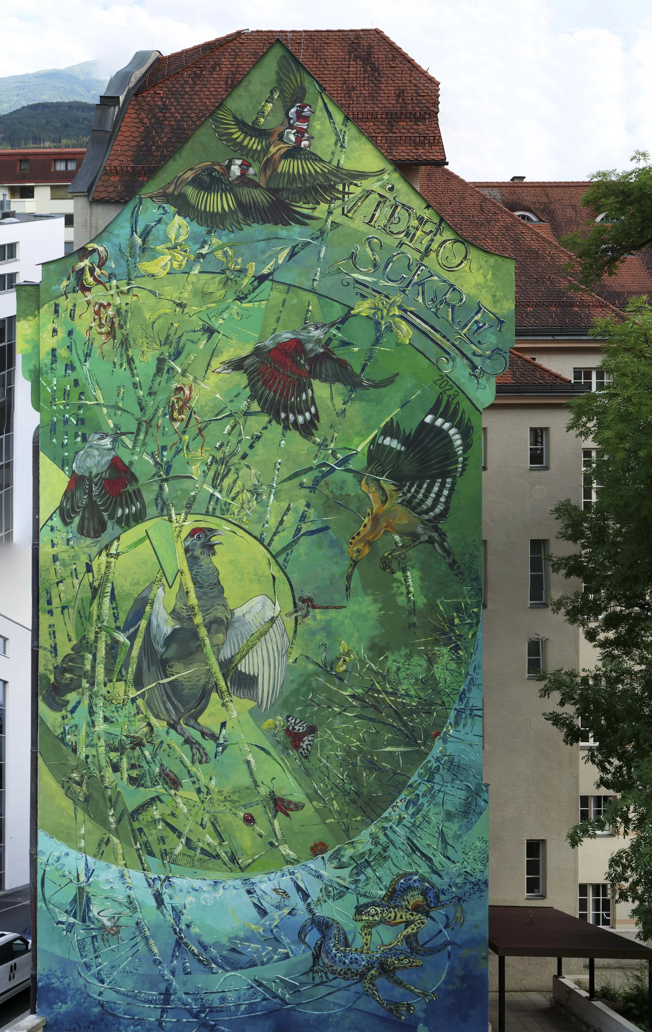 Das Bild ist das Ergebnis des ersten Street Art Stipendium der Stadt Innsbruck. Zu sehen sind regionale Tiere Tirols die auf der roten Liste sind. Diese gefährdeten Arten und Pflanzen tragen auch eine rote Markierung im Feld, Federkleid oder Körper