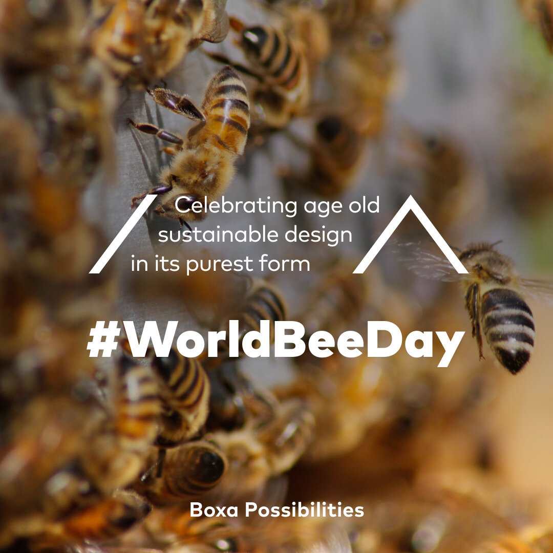Today is @fao #WorldBeeday​​​​​​​​
​​​​​​​​
Pollination is a pillar of our ecosystem and #FoodSystems. According to the UN Over 80% of human food is supplied by plants. The loss of pollinators would, therefore, lead to an exponential loss of biodiver