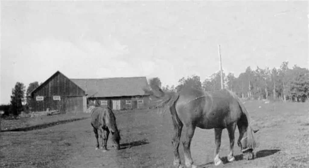 Viertel Rud Ruds by — Torsöhistoria