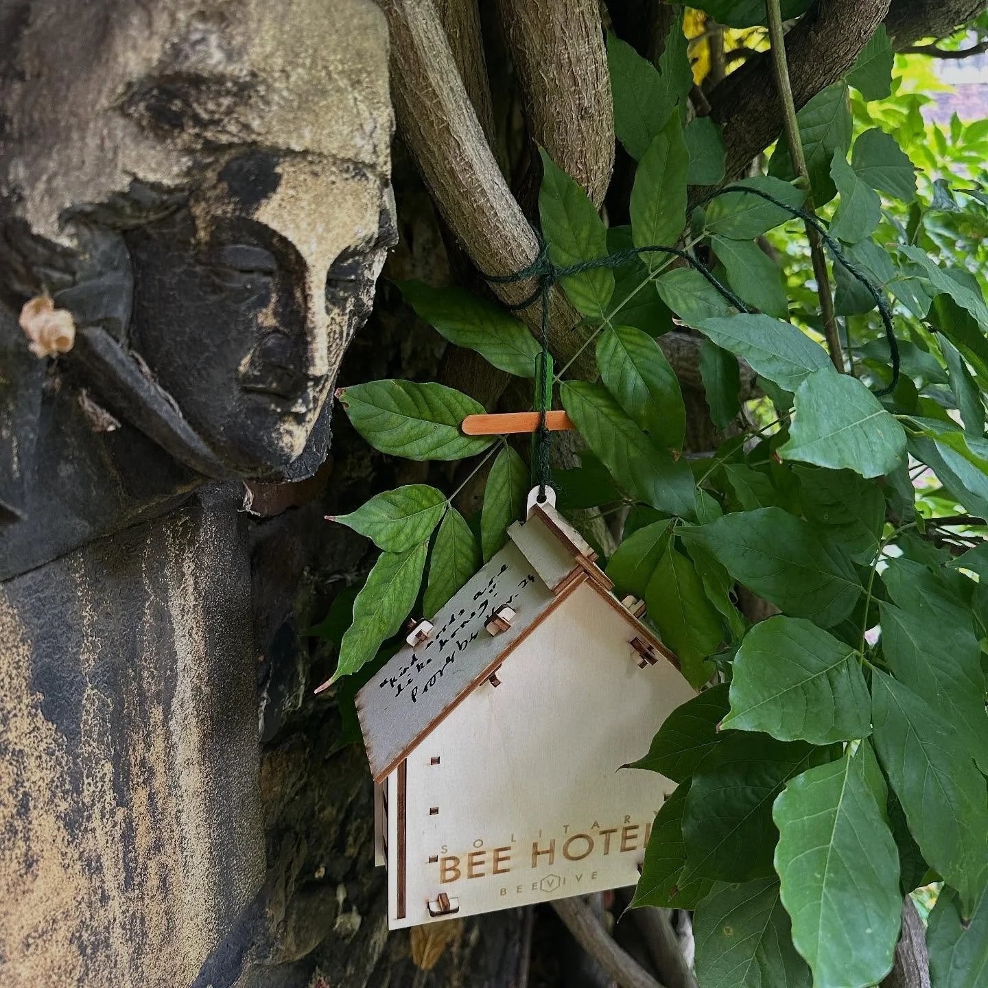 Glad our local bees have a bit of shelter on this very blustery day, thanks to our youth group. And if you need to come in out of the storm, we&rsquo;re open 9am to 6pm, every day to everyone.