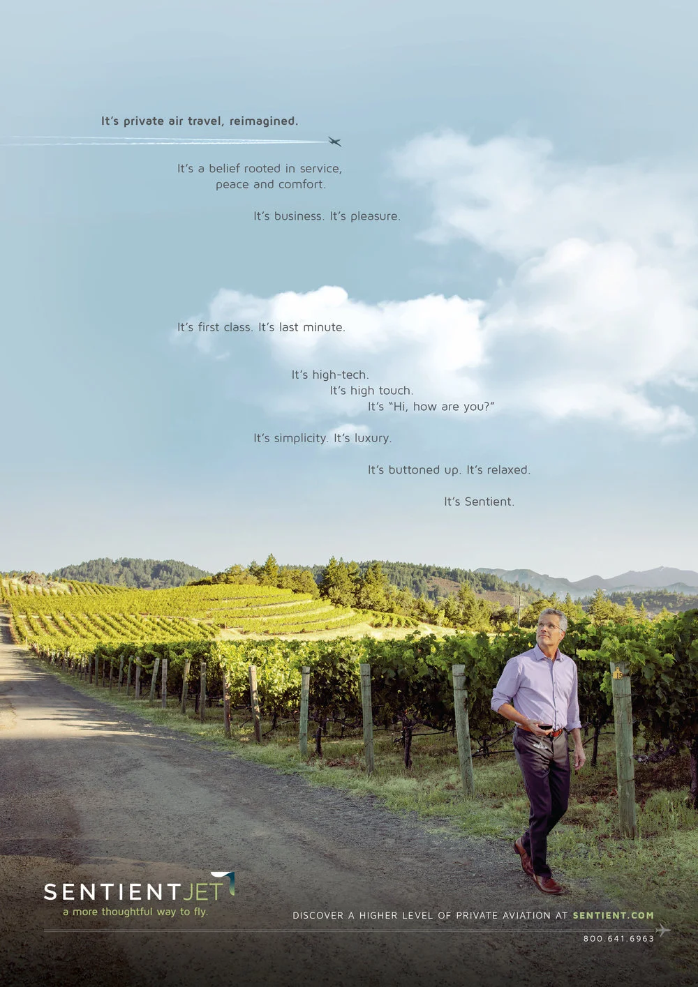 vineyard.jpeg