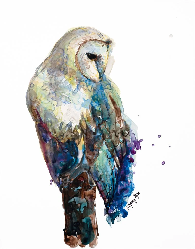 Owl-11x14-LowRes.jpg