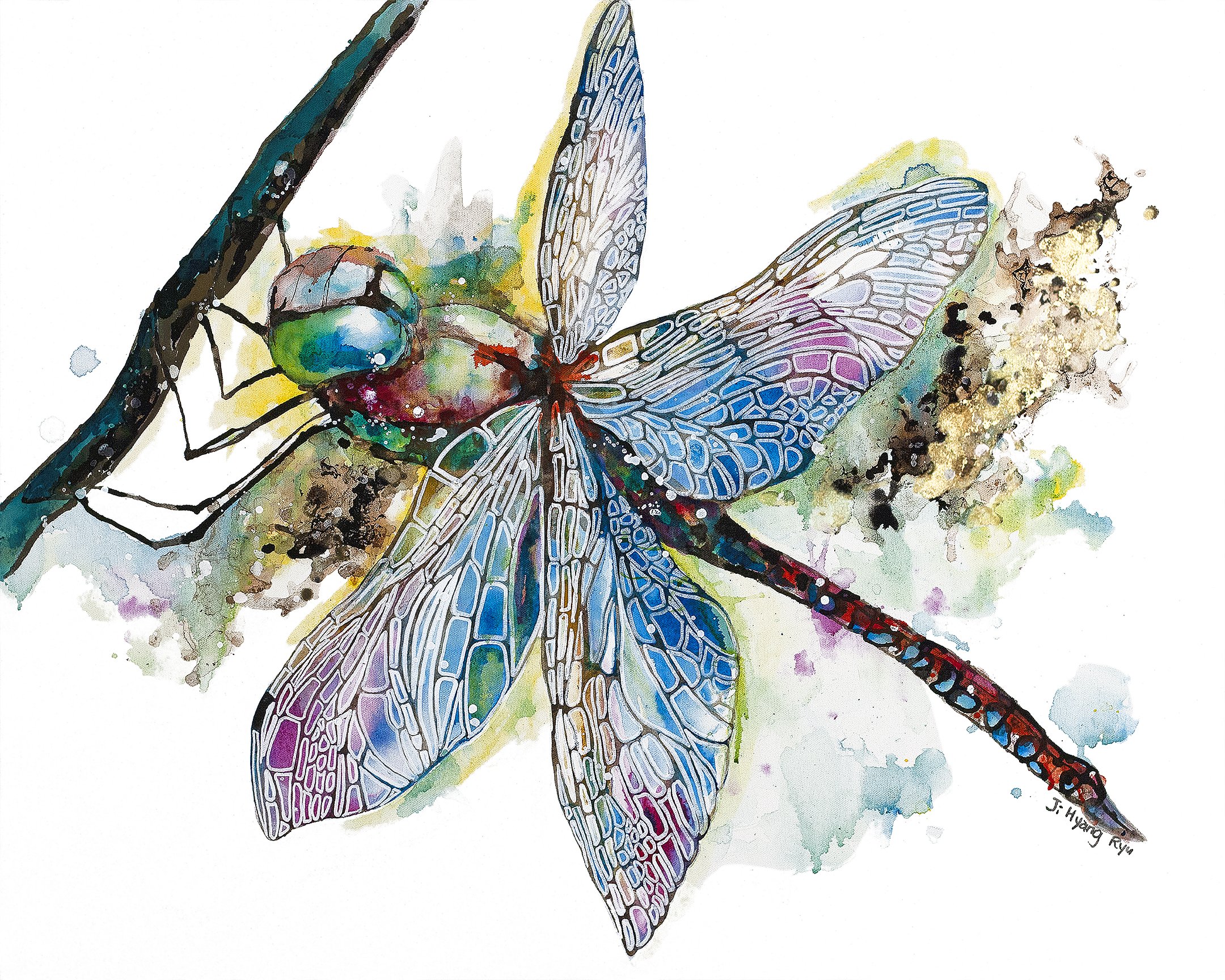 Dragonfly-24x30-LowRes.jpg