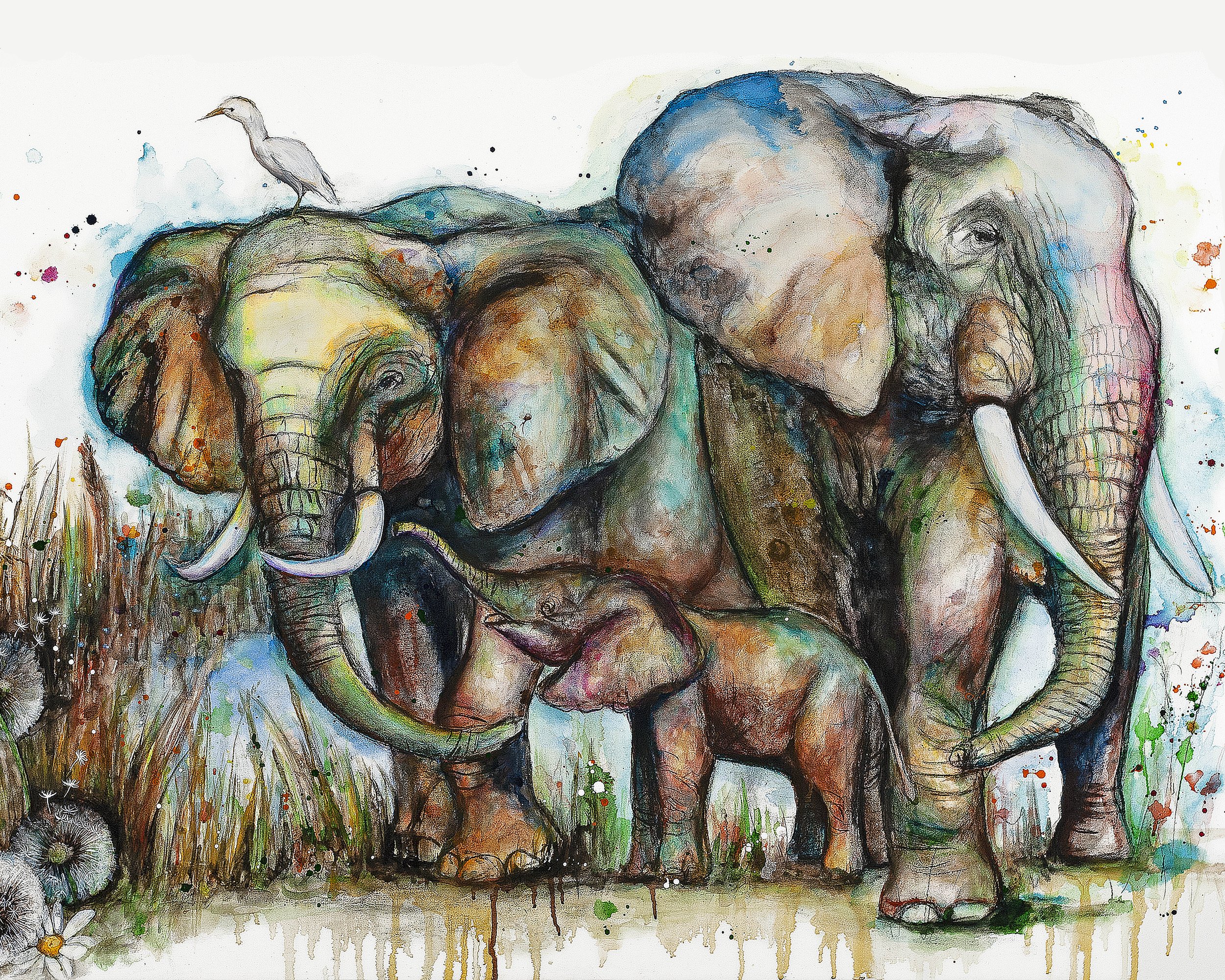 Elephant-Family-02-8x10-LowRes.jpg