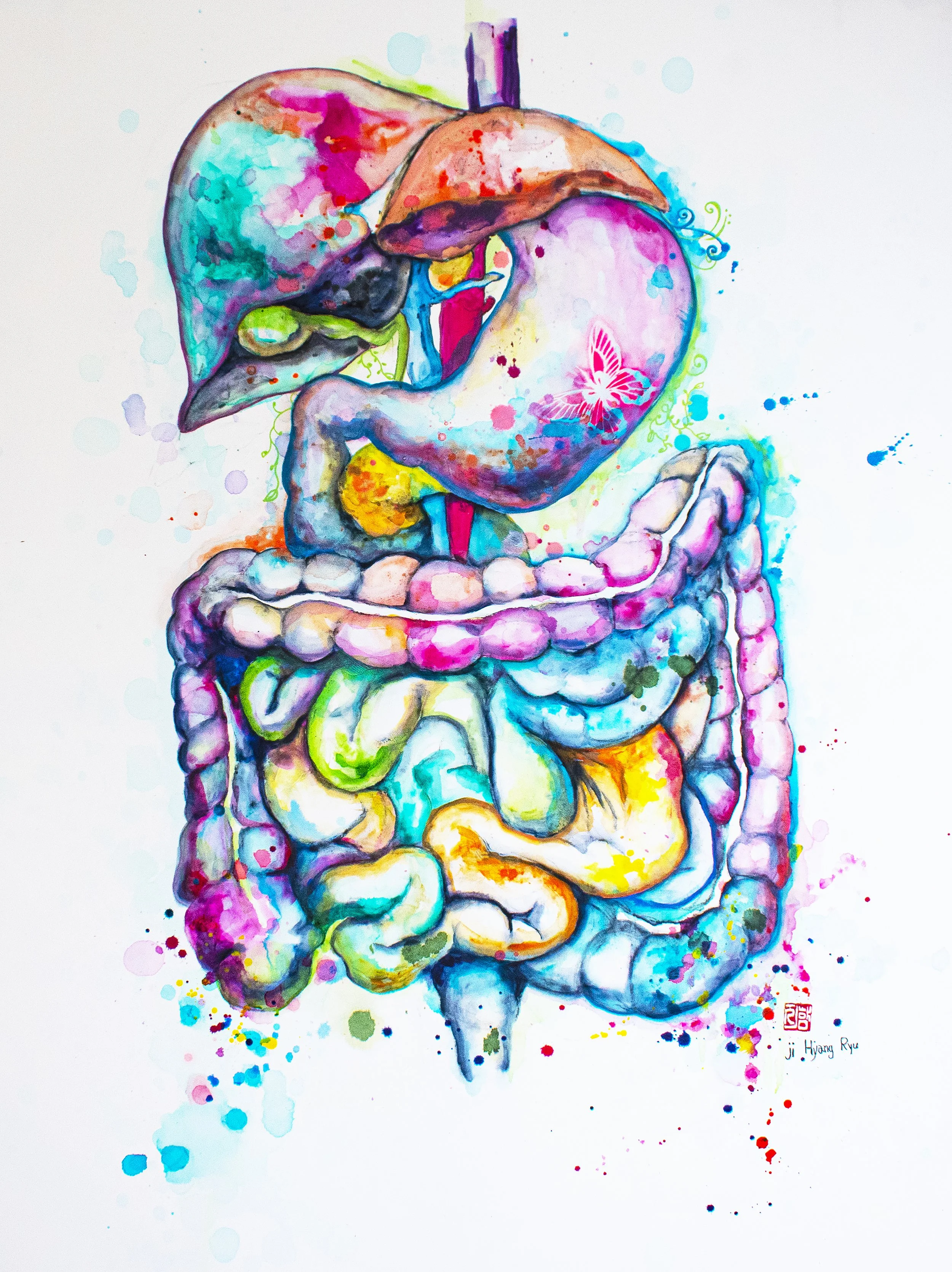 stomach and guts.jpg