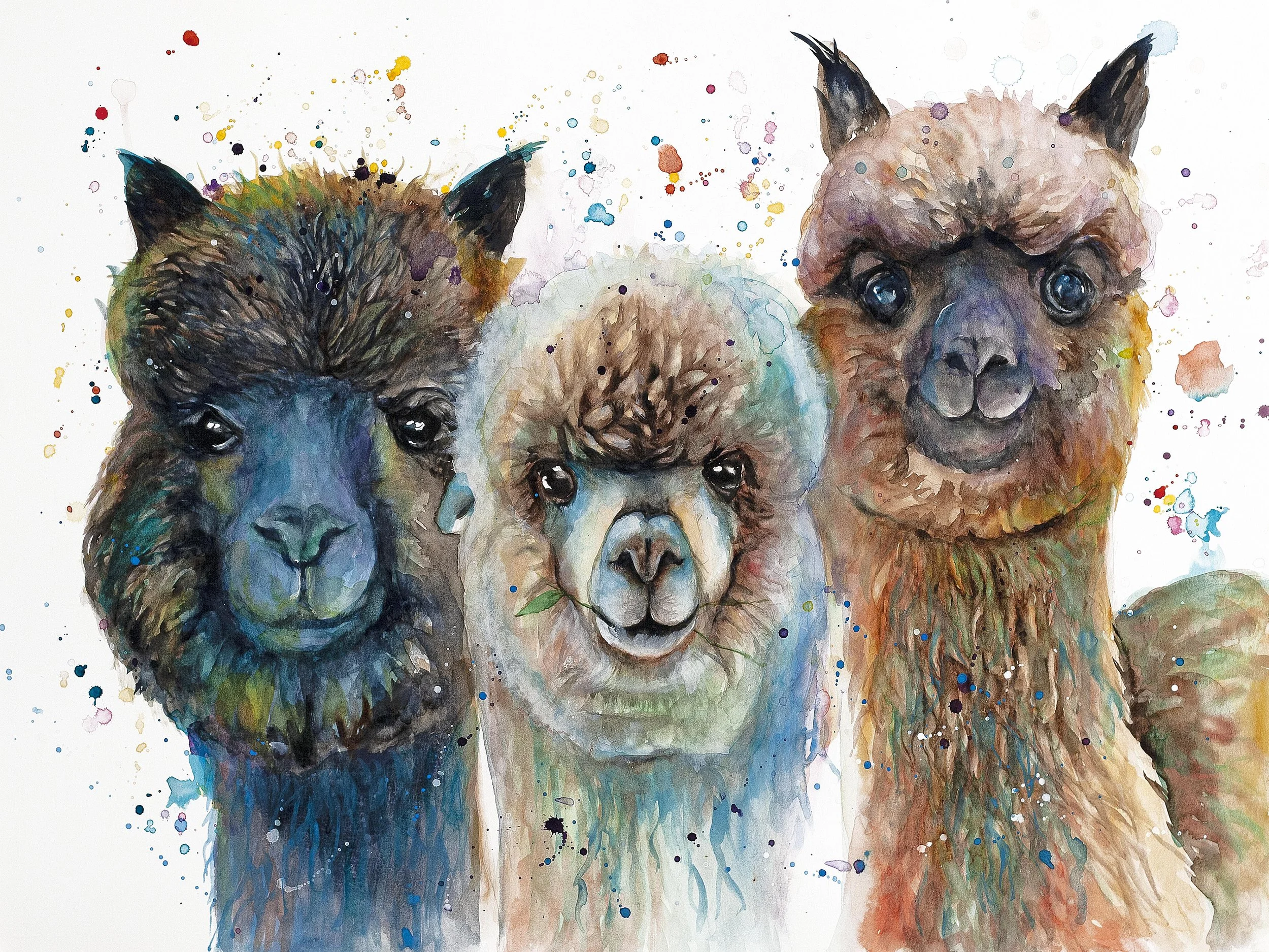 Llamas-3-LowRes-18x24.jpg