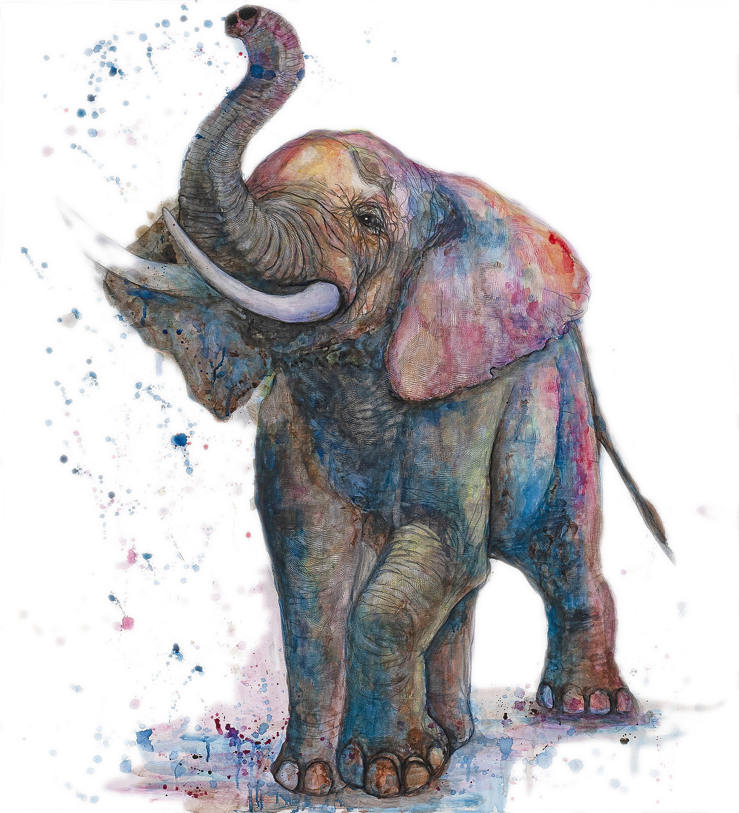 Elephant-02-44x40-LowRes.jpg