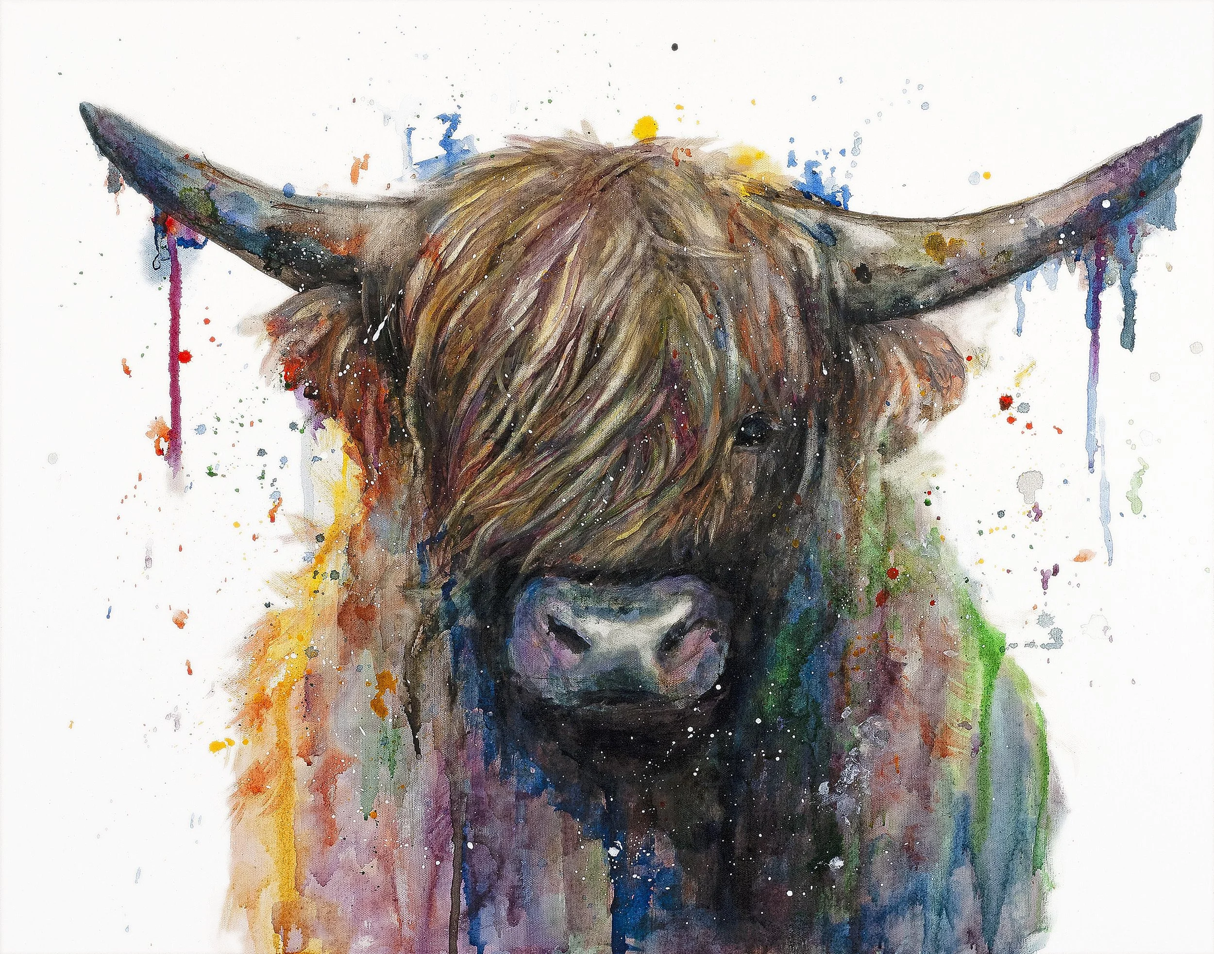 HighlandCows-11x14-LowRes.jpg
