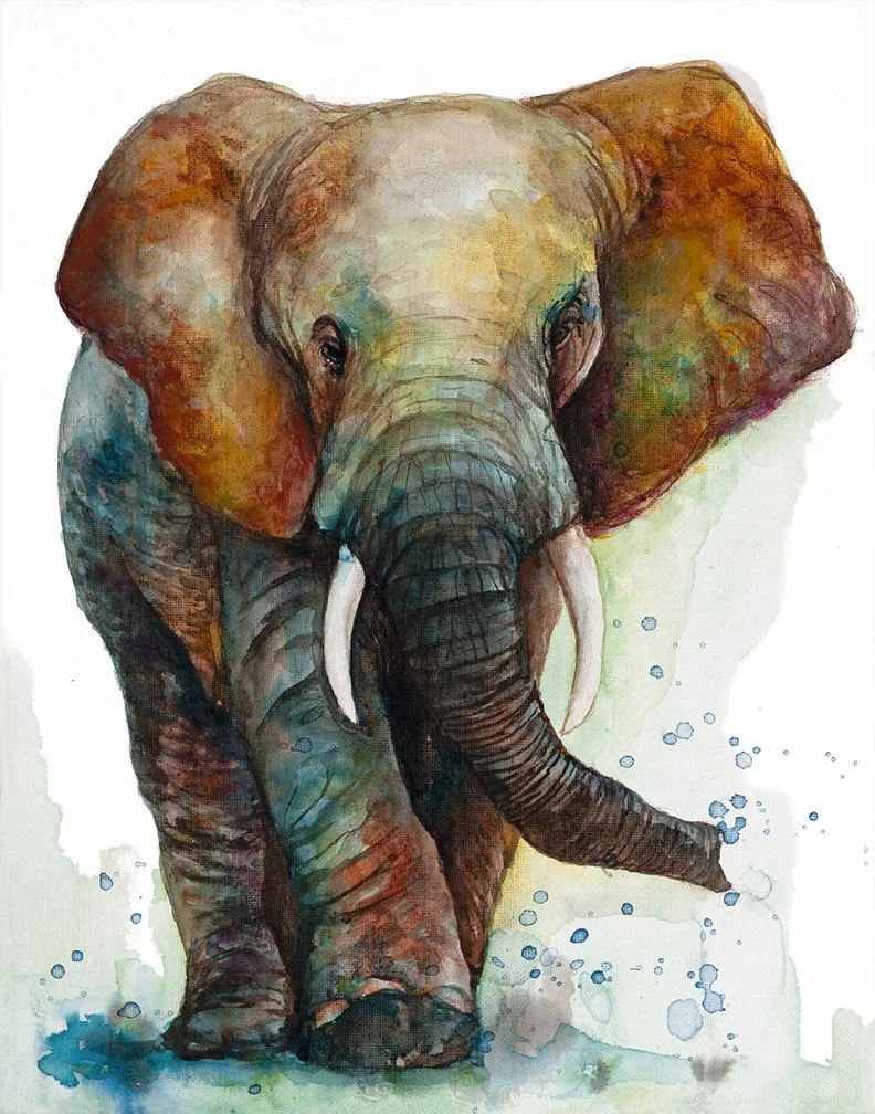 Elephant-11x14-LowRes.jpg