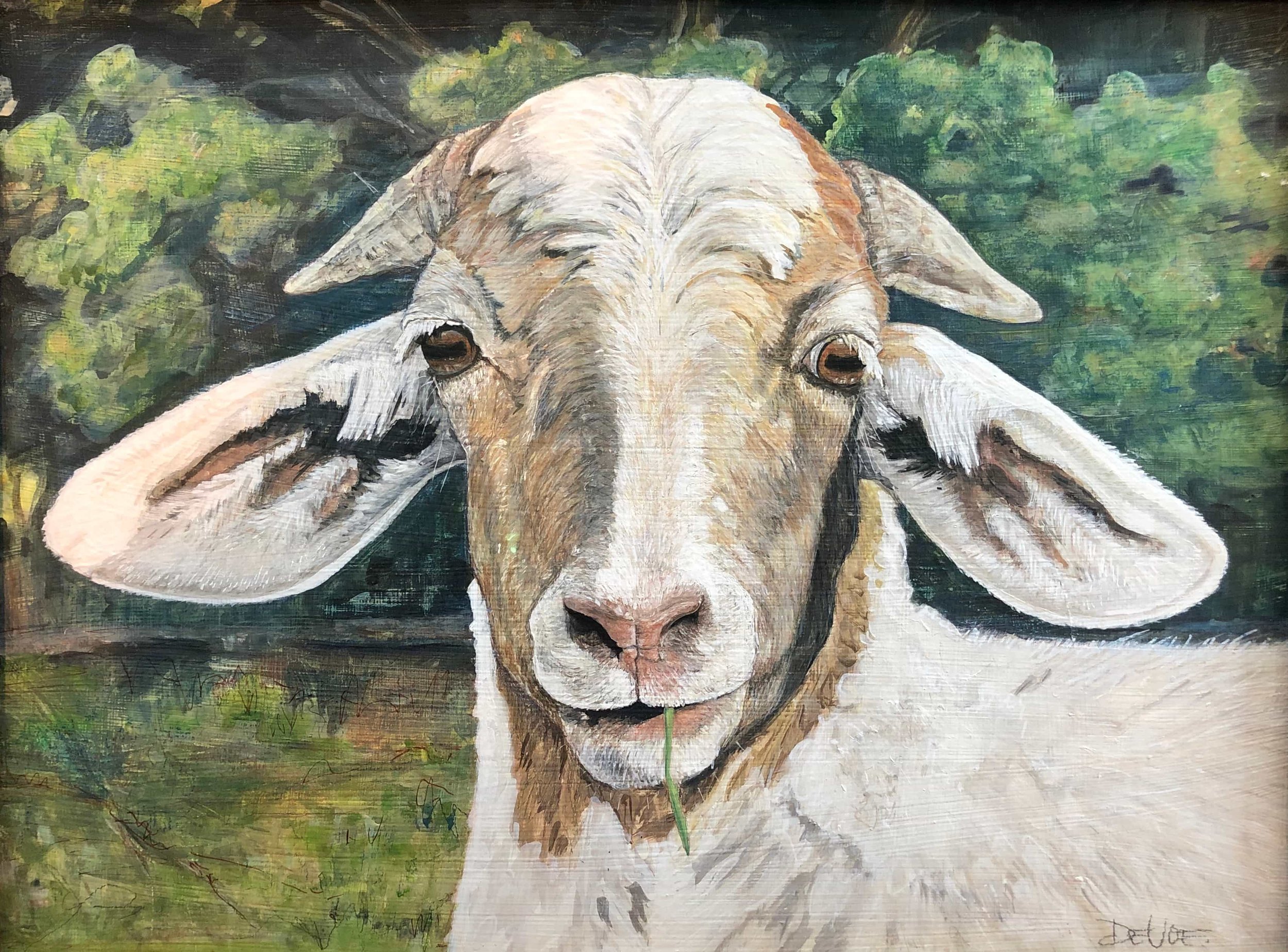 Goat-Painting-Marcia-DeVoe-Fine-Art-Artist.jpg