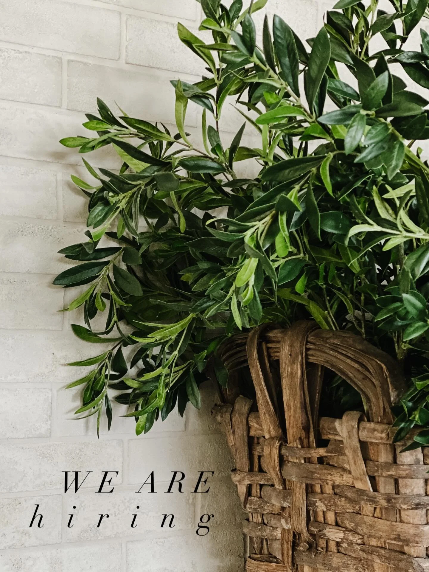 Now hiring! We are looking for a talented, creative, responsible sales associate. 

&bull; retail experience
&bull; passion for design
&bull; social media savvy

Please email nancy@becosyhouse.com with your resume.