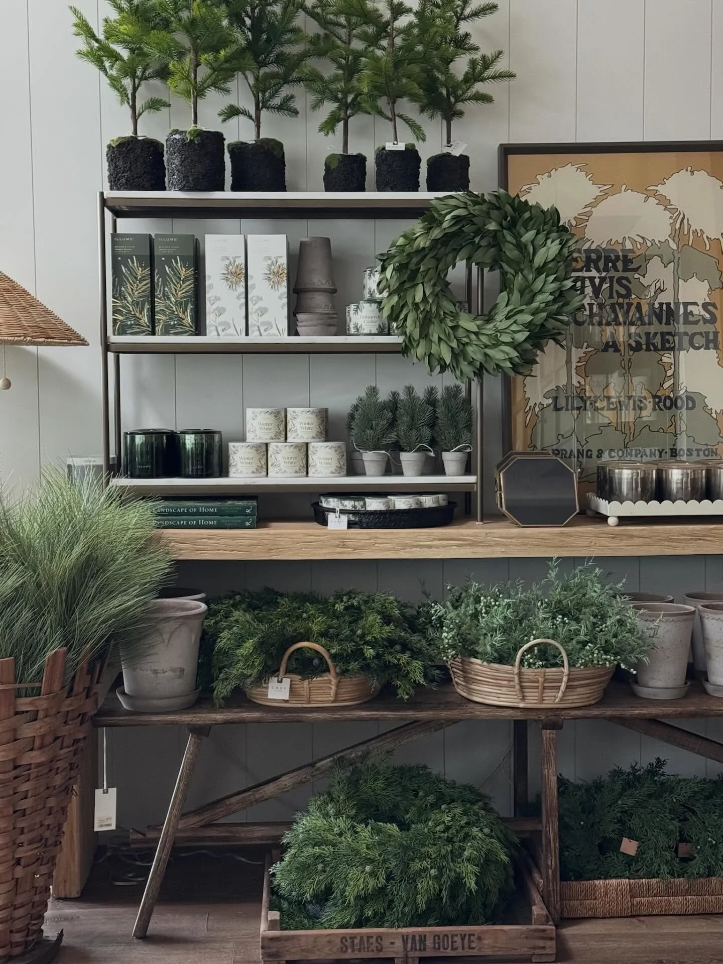 Friday&rsquo;s Holiday favorites are here at COSY! 

#cosyhouse #Christmasdecor #holidayseason #shoplocal #shopsmall #stgeorge