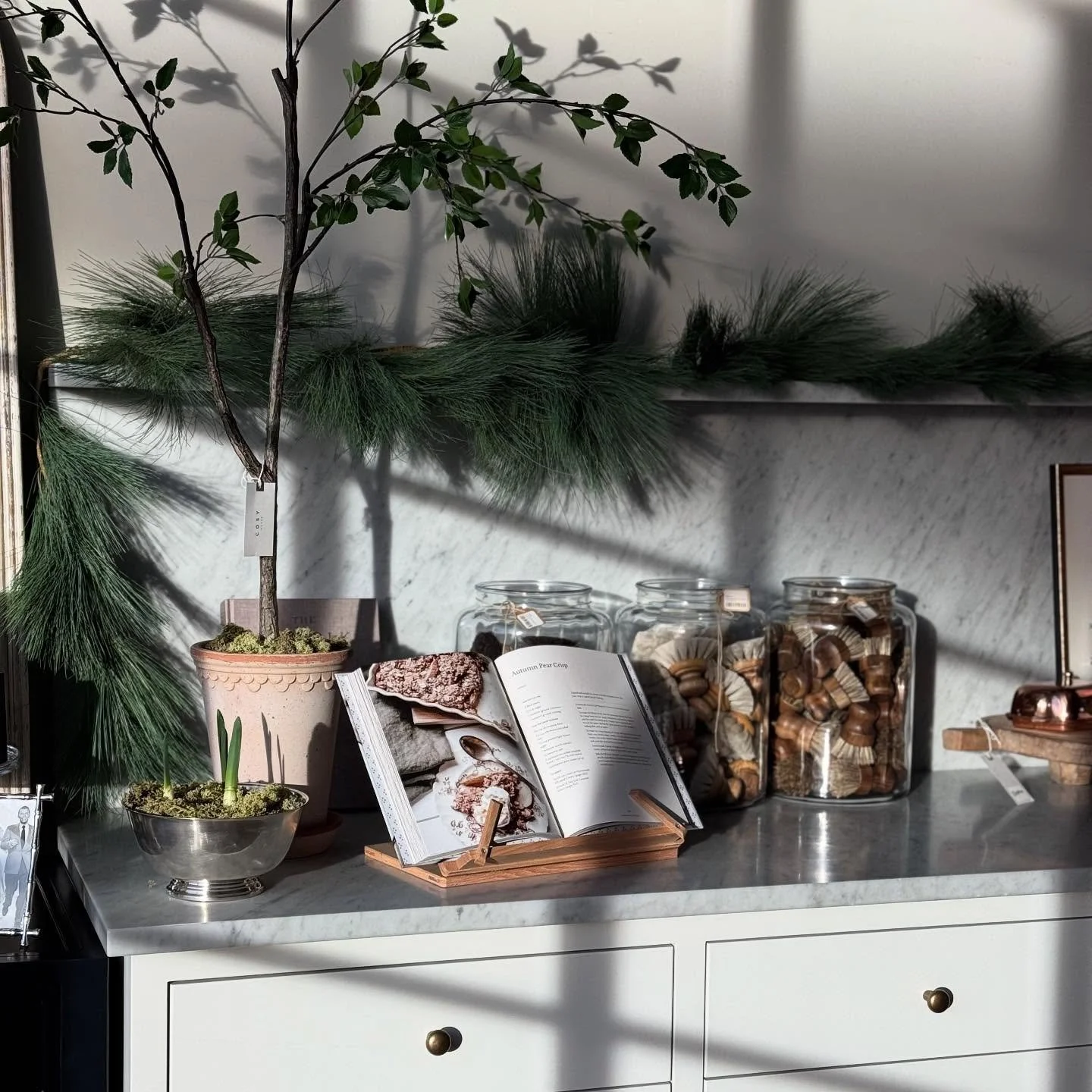 That Autumn morning light in Cosy is dreamy🍂Our silver bowl filled with paperwhites are loving the sunshine too!
Hours: Tuesday-Saturday 10-5

#cosyhouse #christmasdecor #stgeorge #holidayseason #shopsmall #shoplocal