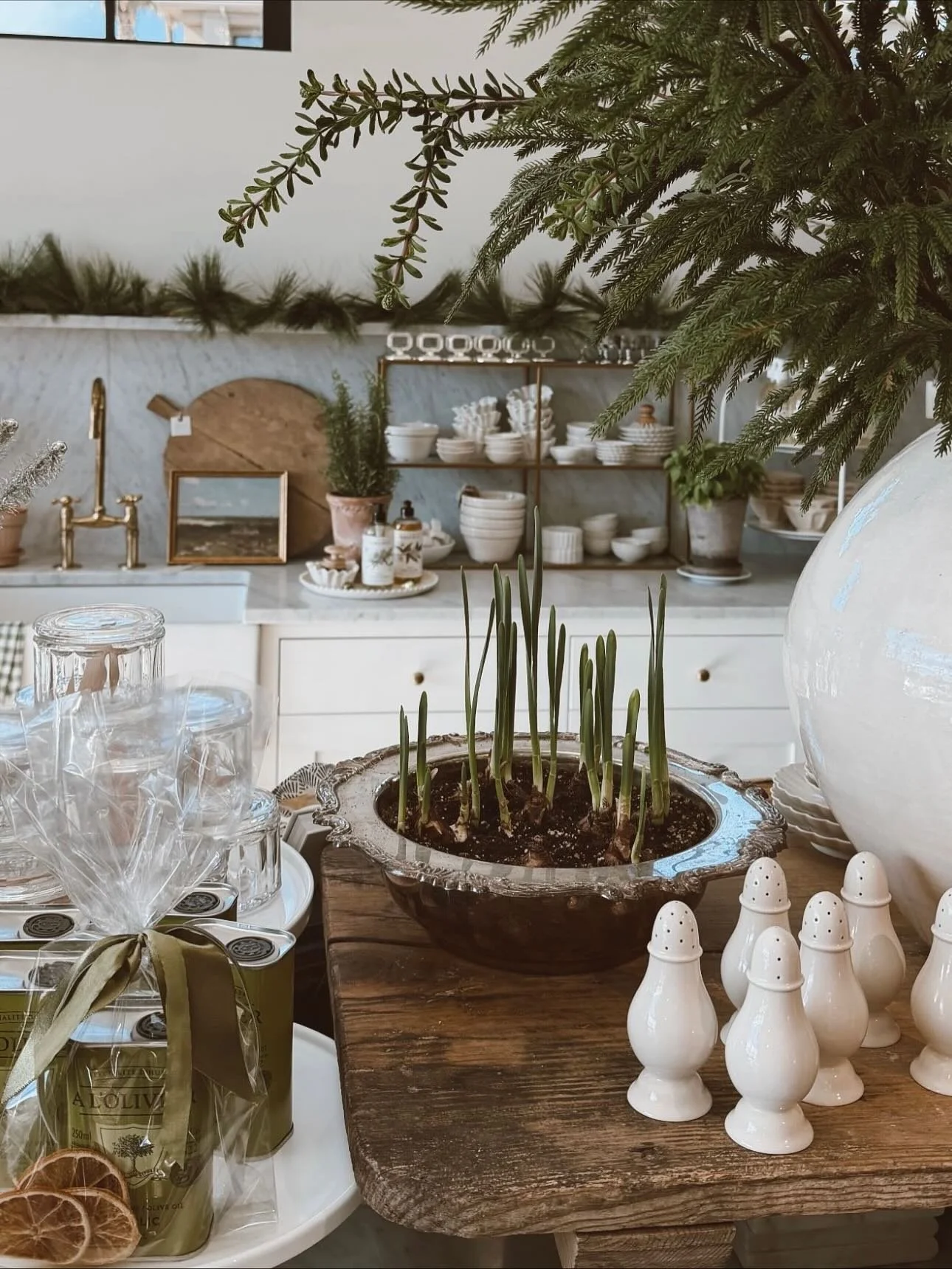 My sweet friend @jenanderson_photography took the most beautiful photos of Cosy and I just had to share😍Thank you Jen❤️