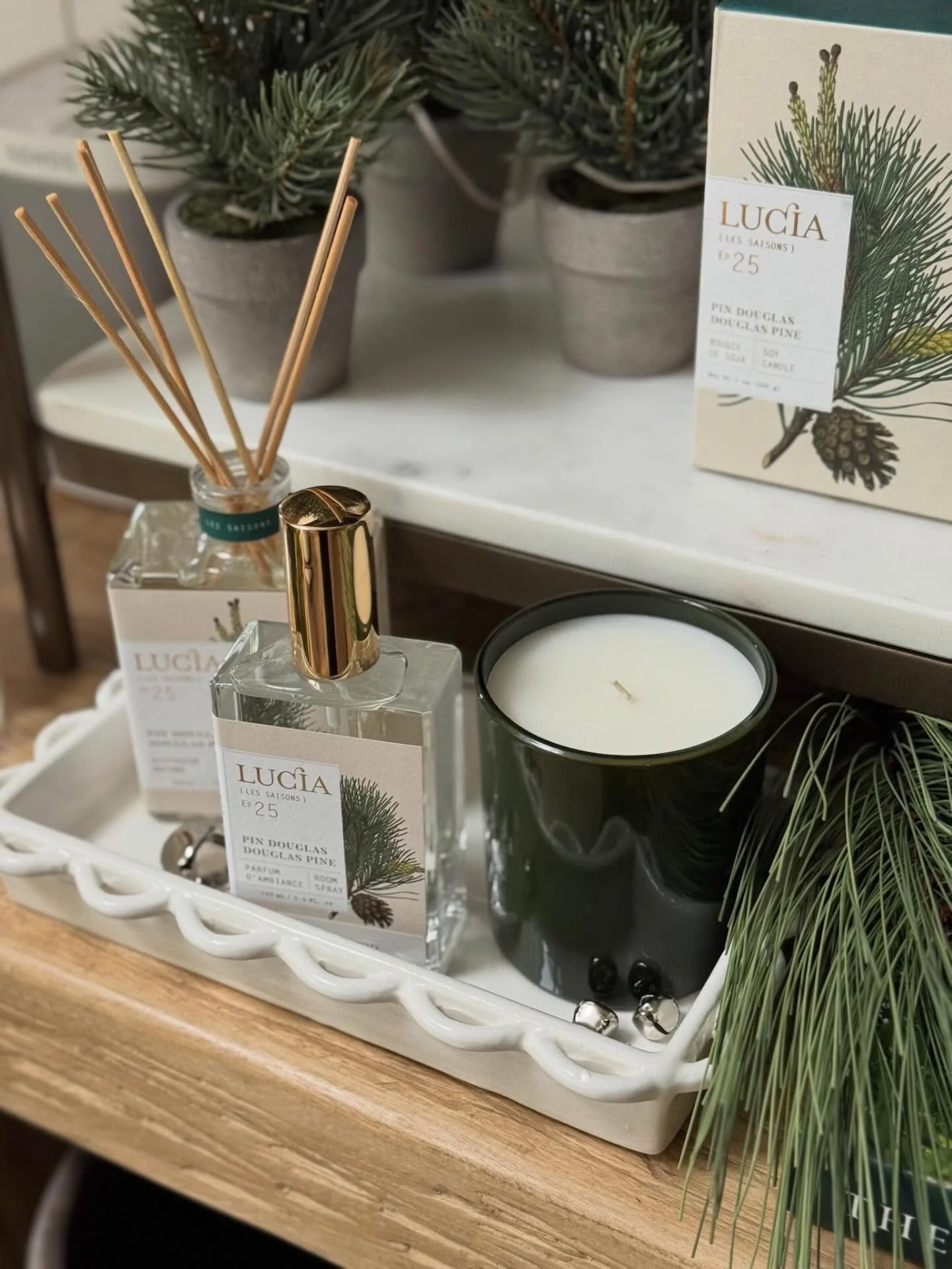 New holiday scent at Cosy! Fill your home with the smell of Christmas pine 🌲 

#Cosy #holidayscent #stgeorge