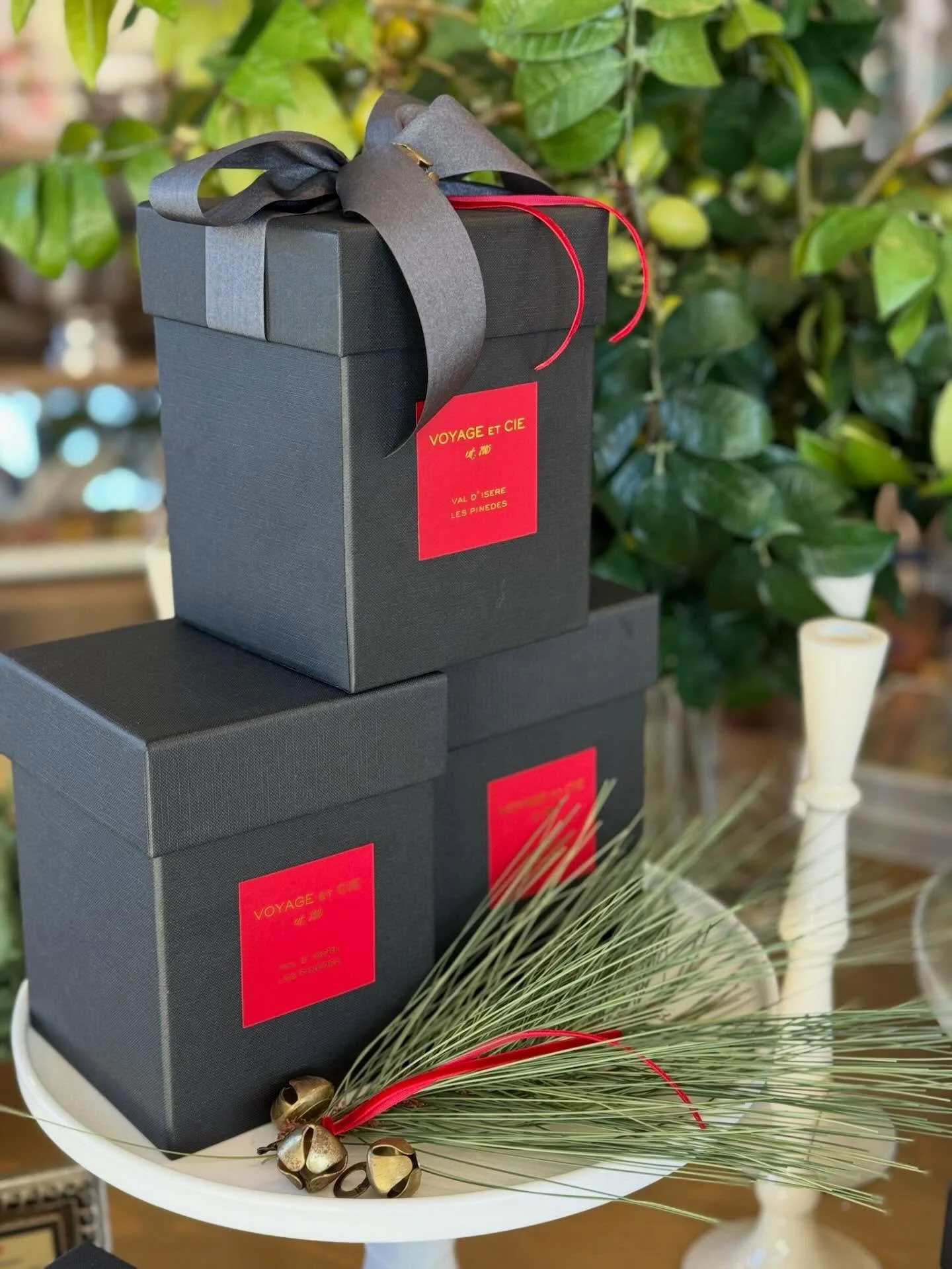 ✨RESTOCKED✨

&bull;Voyage et Cie candles 
&bull;Nancy&rsquo;s favorite dish soap 
&bull;Christmas watercolor workbooks 
&bull;Velevet ribbon 
&bull;Illume candle 
&bull;German black dish brush 
&bull;Koala Eco
&bull;Green gingham tea towels 
&bull;Ta