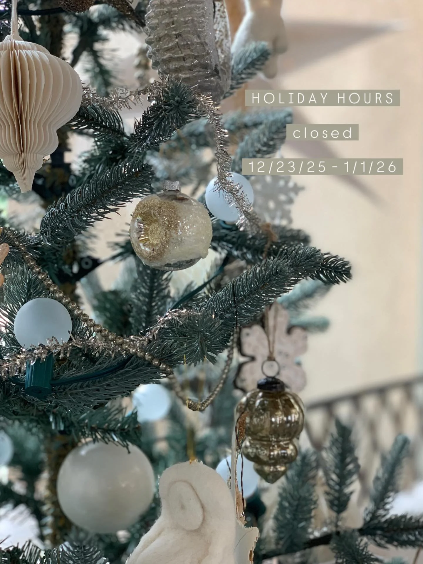 🎄Closed for Christmas Break🎄
We&rsquo;ll be open on Friday, January 2nd!

#cosyhouse #shoplocal #stgeorge