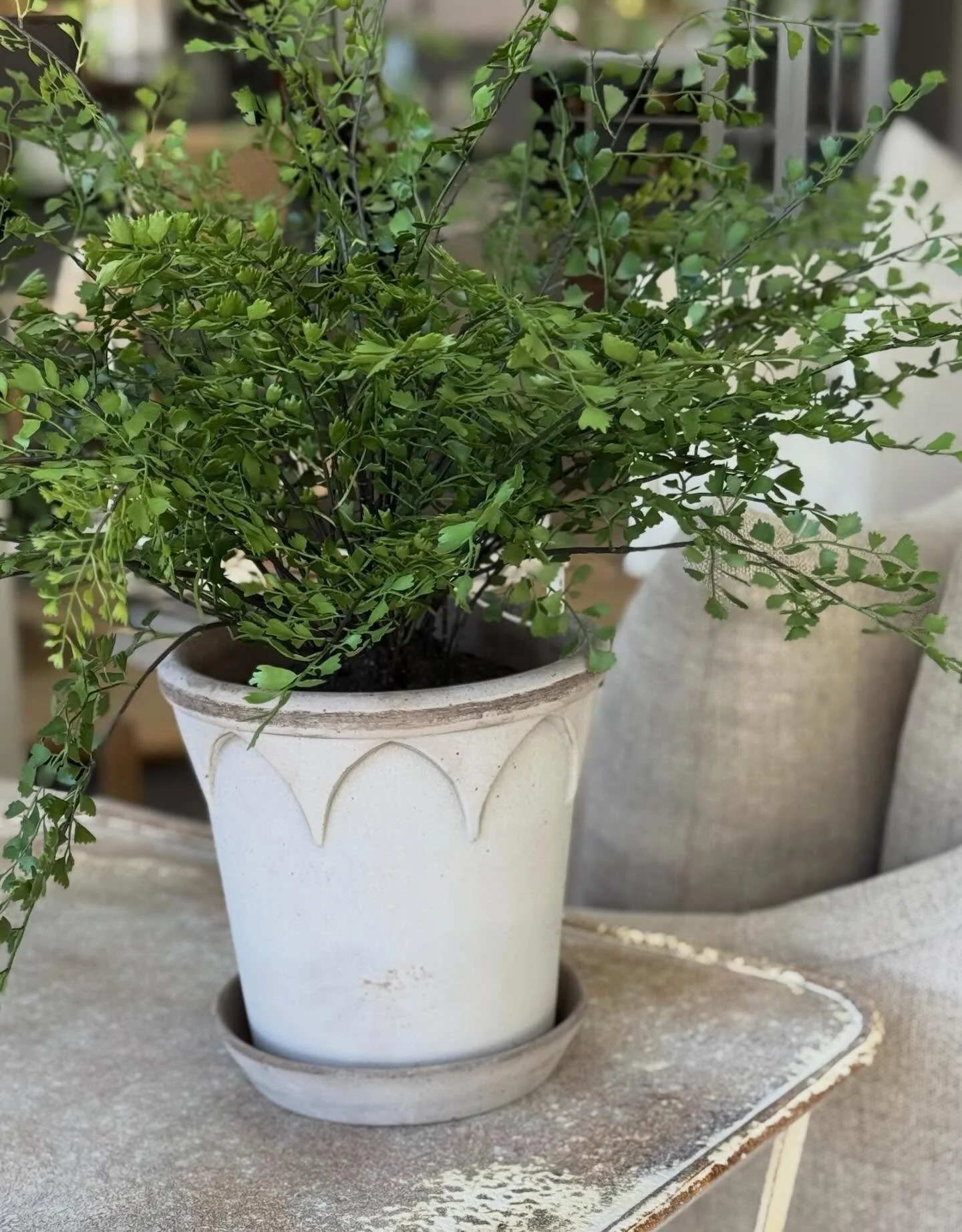 ✨RESTOCKED✨ 
Designed in Denmark and made in Italy, our popular Bergs Pots are back in stock! 

#CosyHouse #stgeorgeutah #shoplocalstgeorge #summerpots