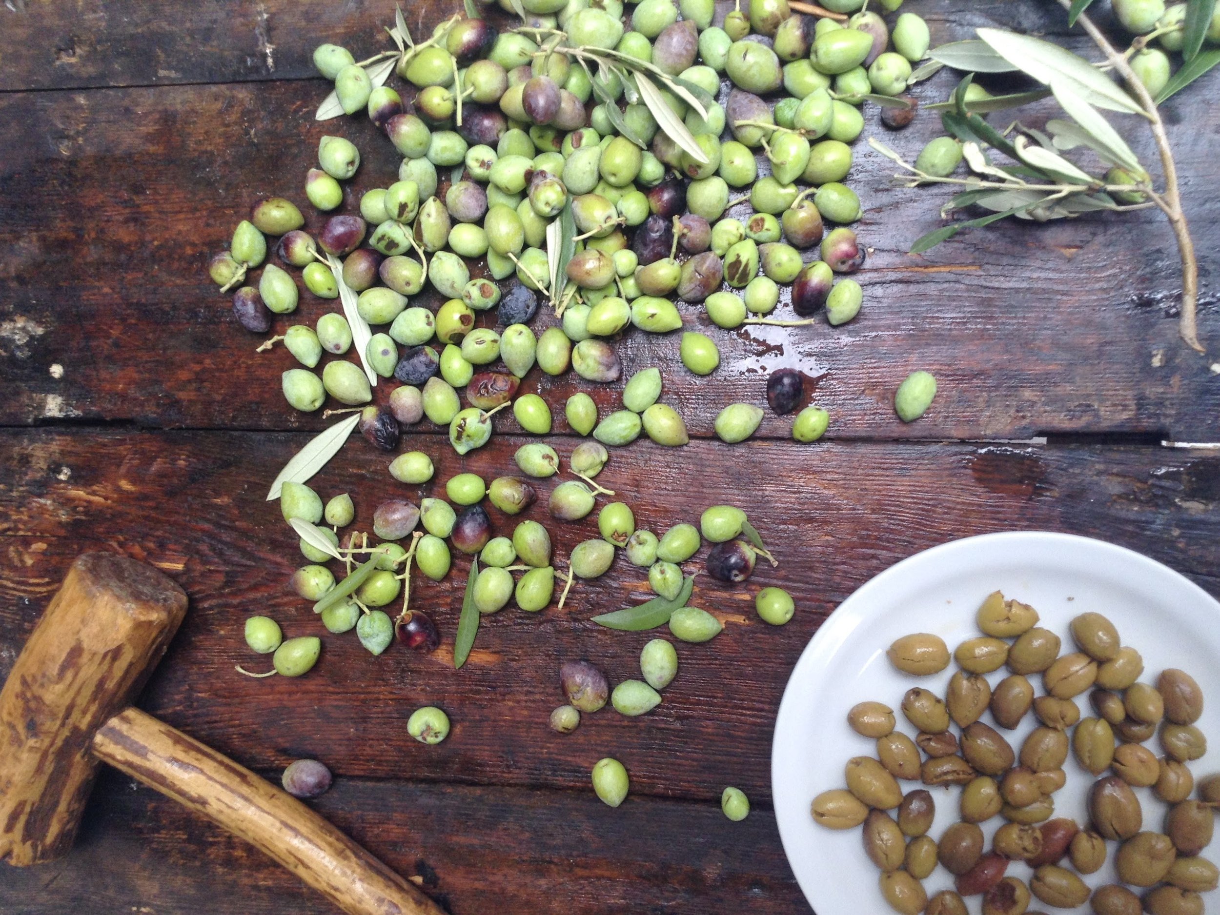 In der Mani werden Oliven 'geschlagen', bevor man sie einlegt. So schmecken sie besser. 