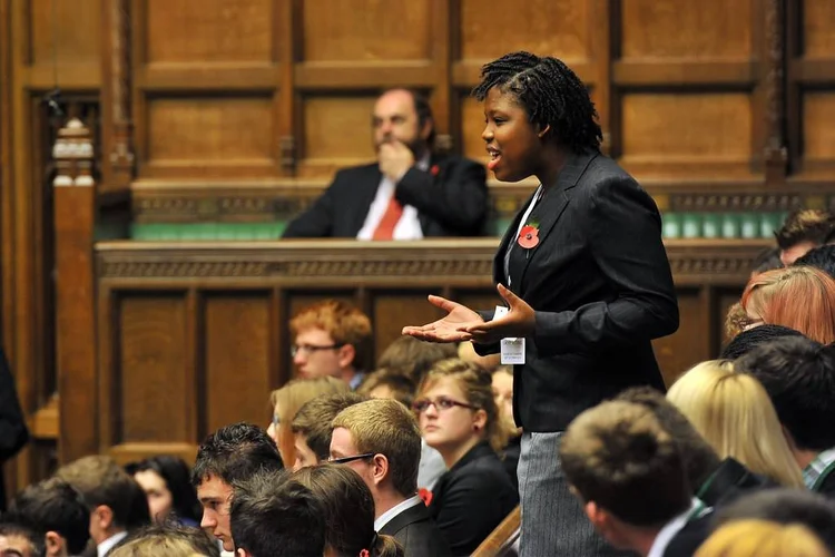Evaluate the view that backbenchers have little influence in parliament ...