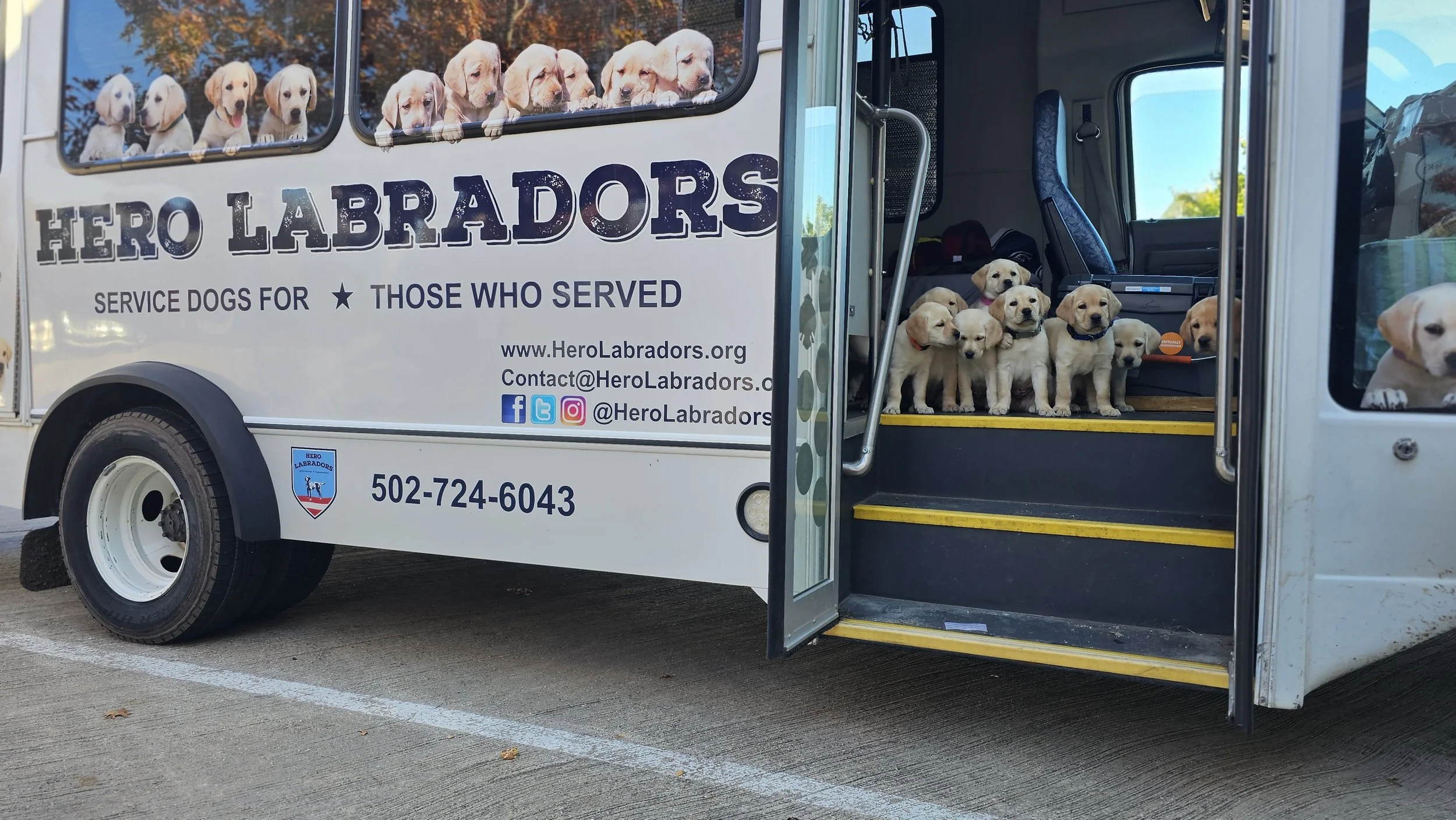The Hand-off: Delivering promising service dog candidates to qualified nonprofit training organizations across the country.