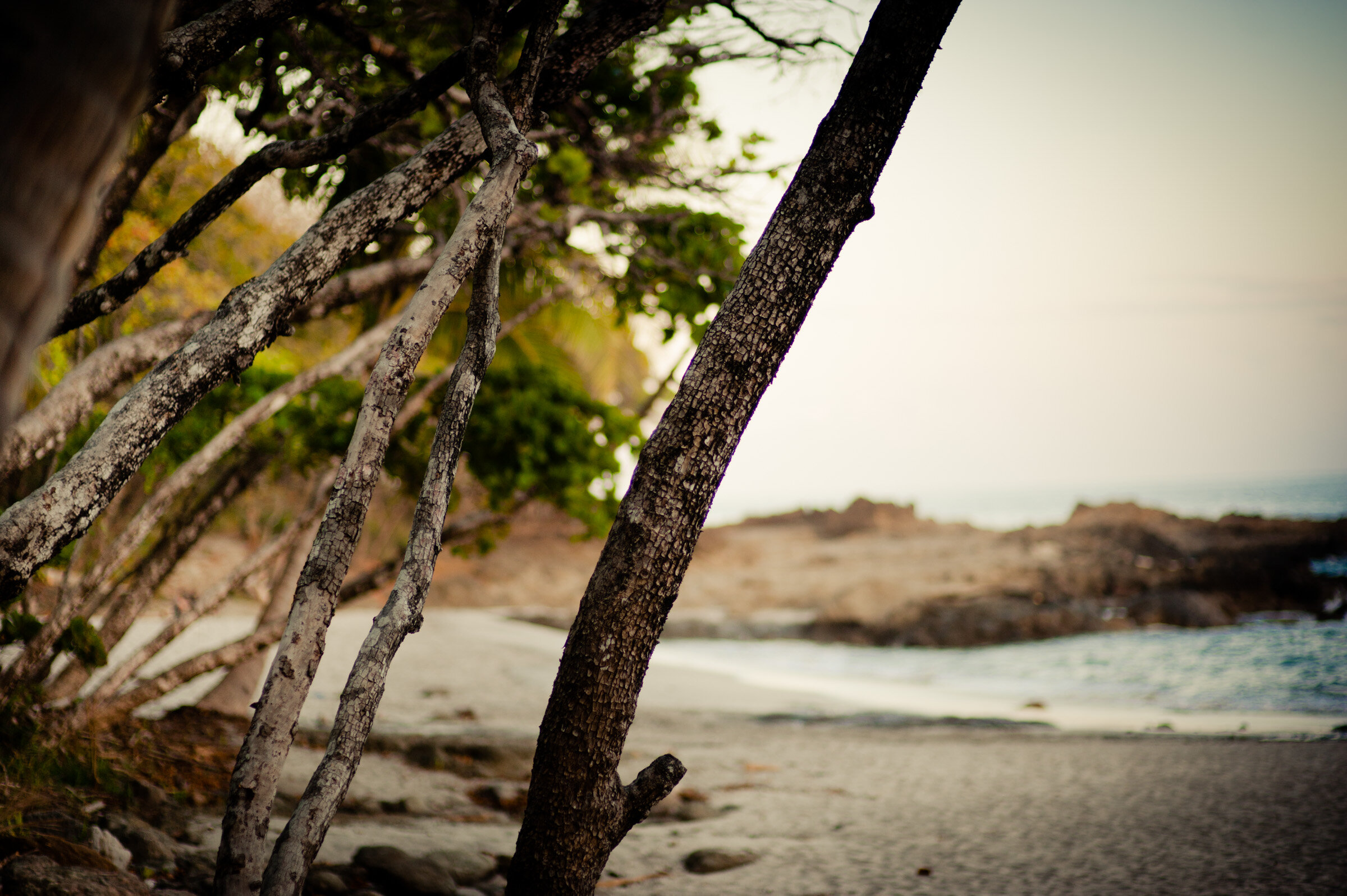 costa-rica-beach-town (14 of 25).jpg